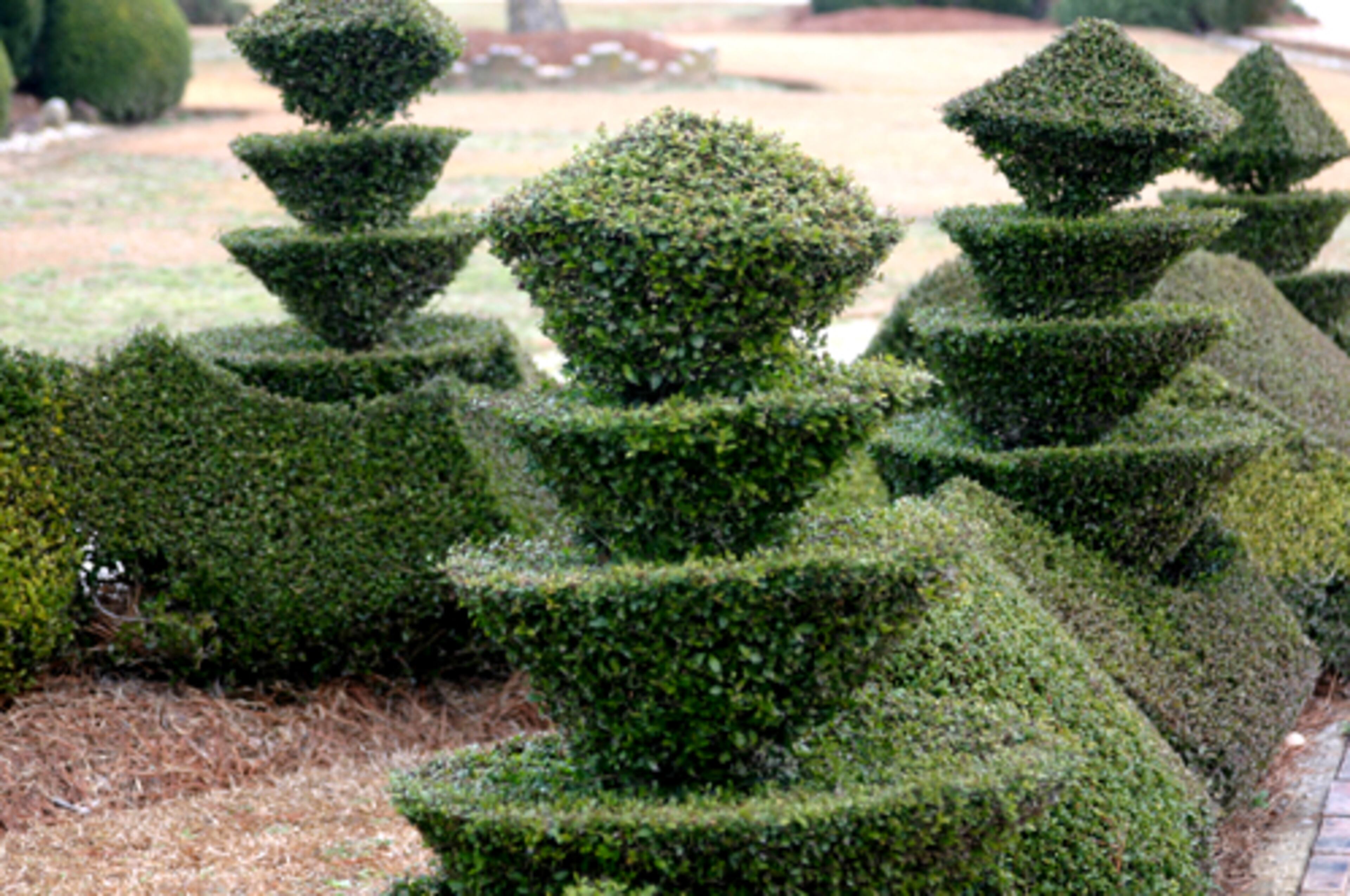 Two producers have spent the past three years producing the documentary "A Man Named Pearl." The 78-minute film by Scott Galloway and Brent Pierson is tentatively set to open in Atlanta (at Regal Cinemas Hollywood 24) and other cities across the nation on Oct. 5.