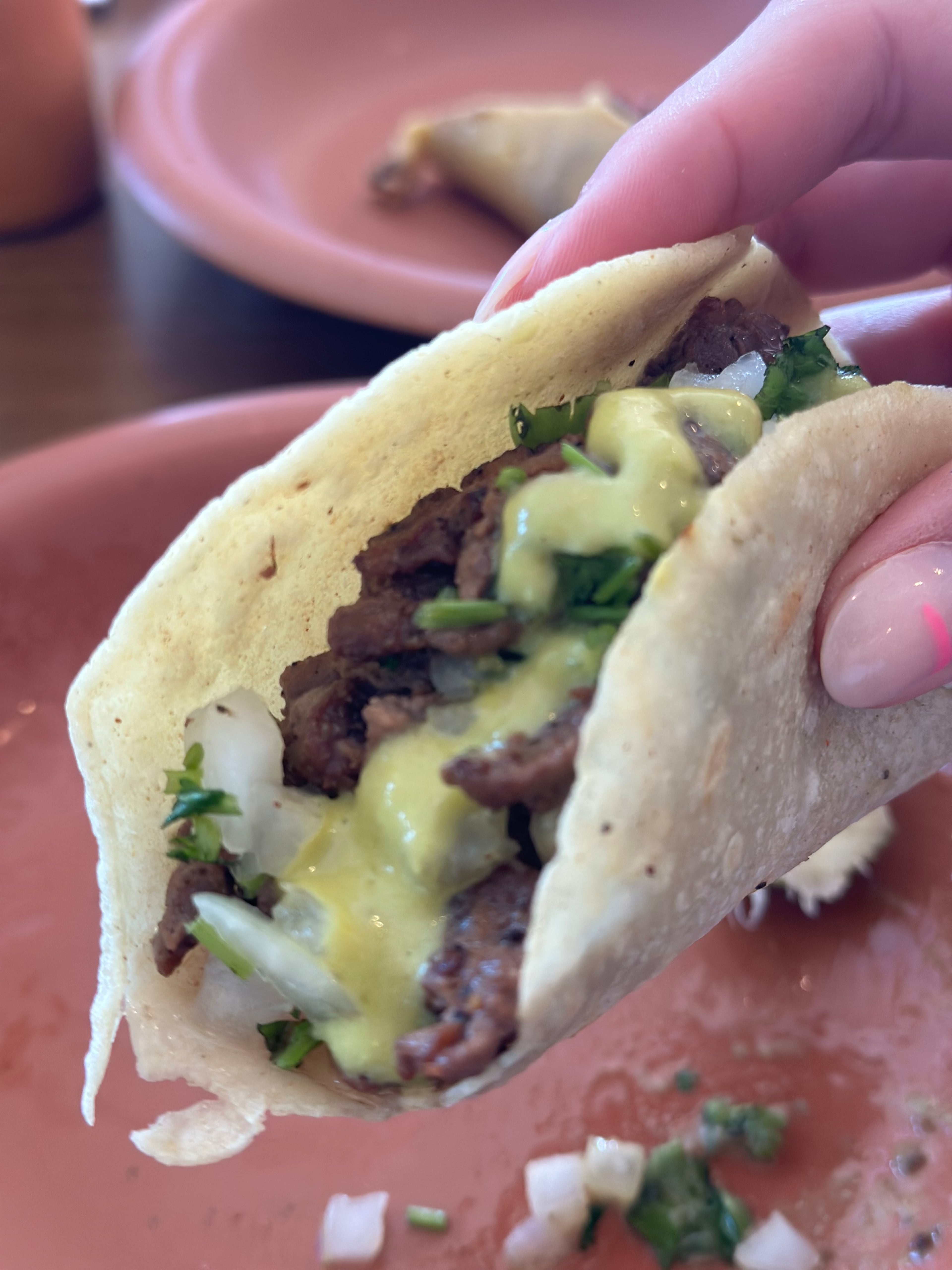 La Mixteca Tamale House stuffs its fresh homemade tortillas with a generous amount of protein. (Daniela Cintron for the AJC)