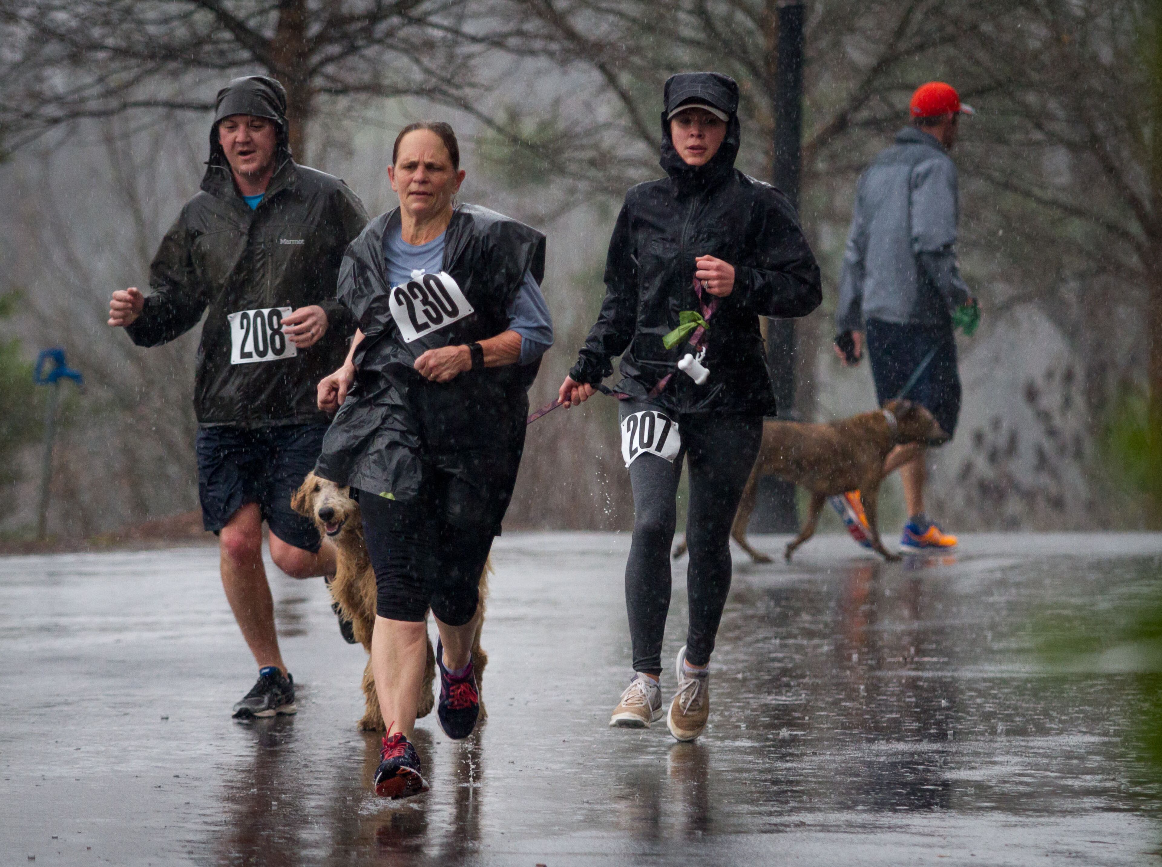 Runners and their dogs aren’t deterred by heavy rain on their way to the finish line during the Piedmont Park Conservancy's 5th Year Anniversary of the Doggie Dash in Piedmont Park on Sunday, March 11, 2018. STEVE SCHAEFER / SPECIAL TO THE AJC