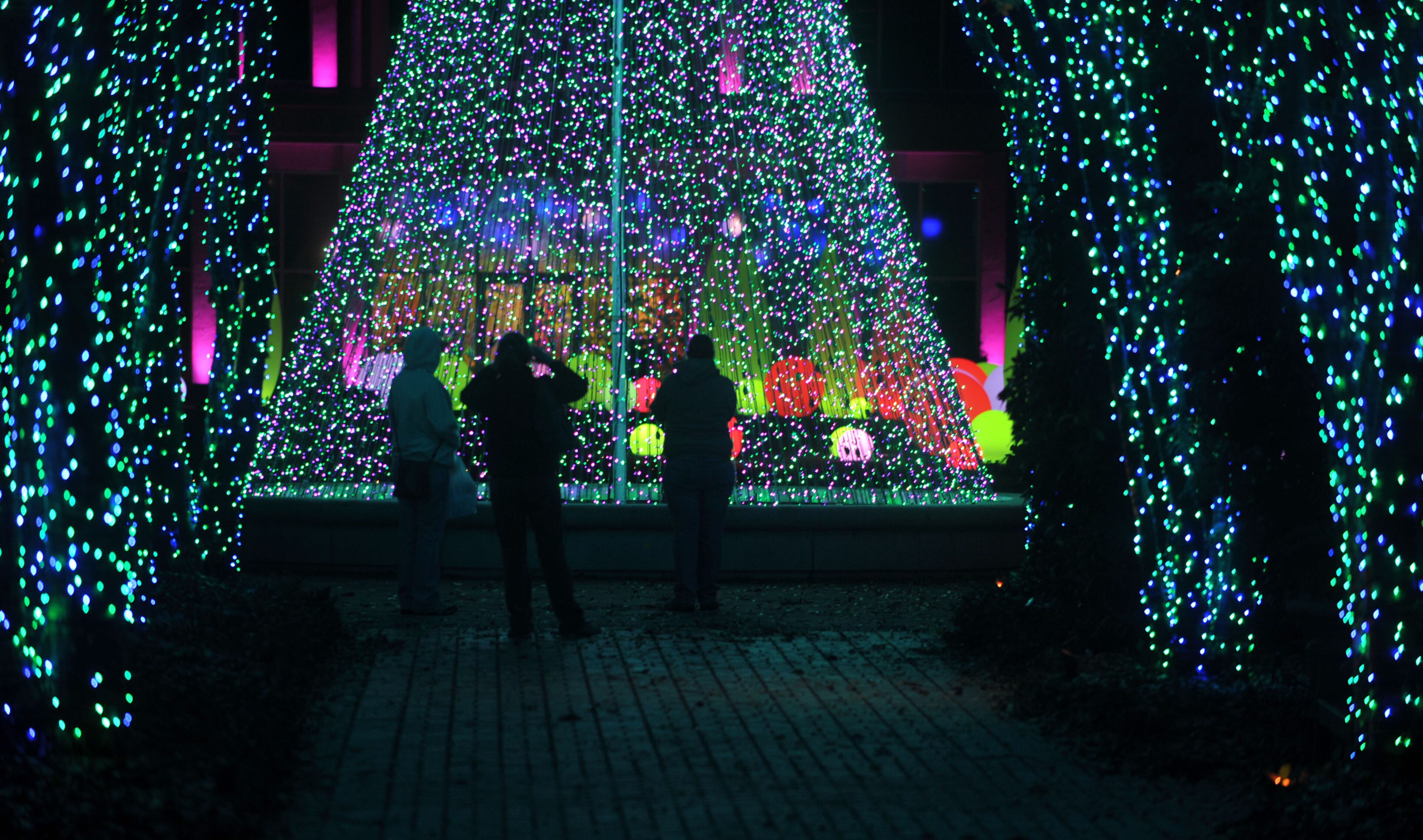The walkway entrance of the Great Lawn features a Christmas tree. KENT D. JOHNSON / KDJOHNSON@AJC.COM