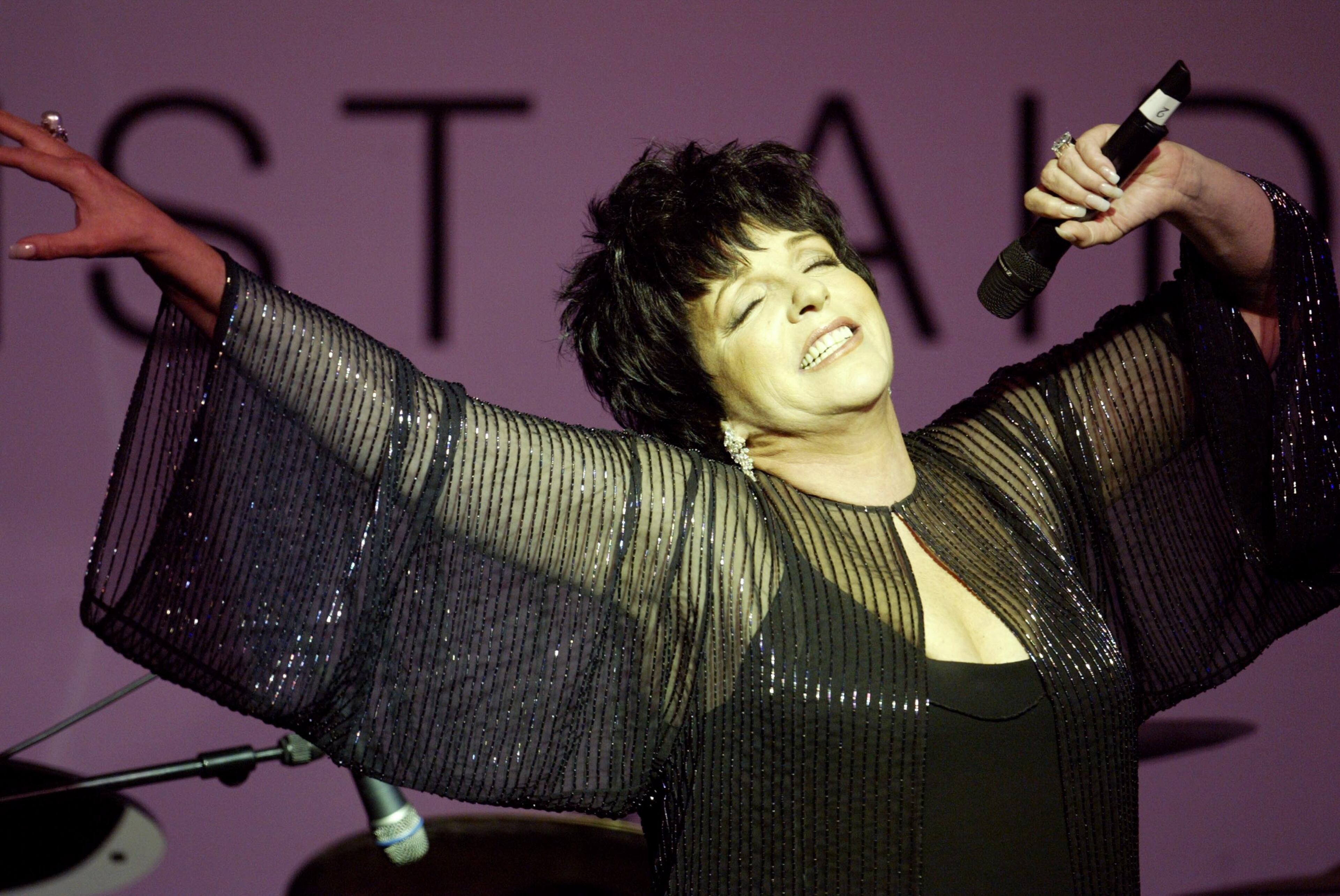 Actress Liza Minnelli speaks on stage during the auction at "Cinema Against AIDS 2004", the 11th annual event in aid of amfAR (American Foundation for AIDS Research) at Le Moulin de Mougins at the 57th Cannes Film Festival on May 20, 2004 in Cannes, France. (Photo by Evan Agostini/Getty Images)