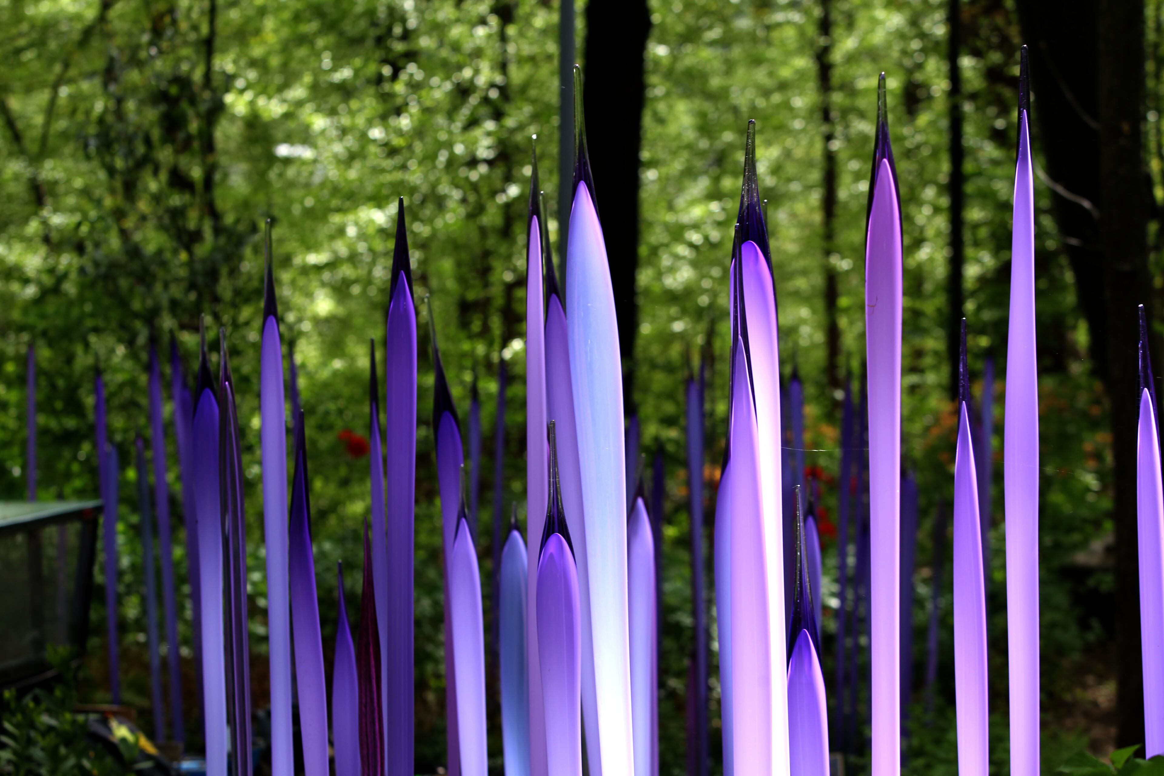 A Chihuly installation sits in the Atlanta Botanical Gardens. The glass art exhibit featuring 20 glass sculpture installations will open on April 30. TAYLOR CARPENTER / TAYLOR.CARPENTER@AJC.COM