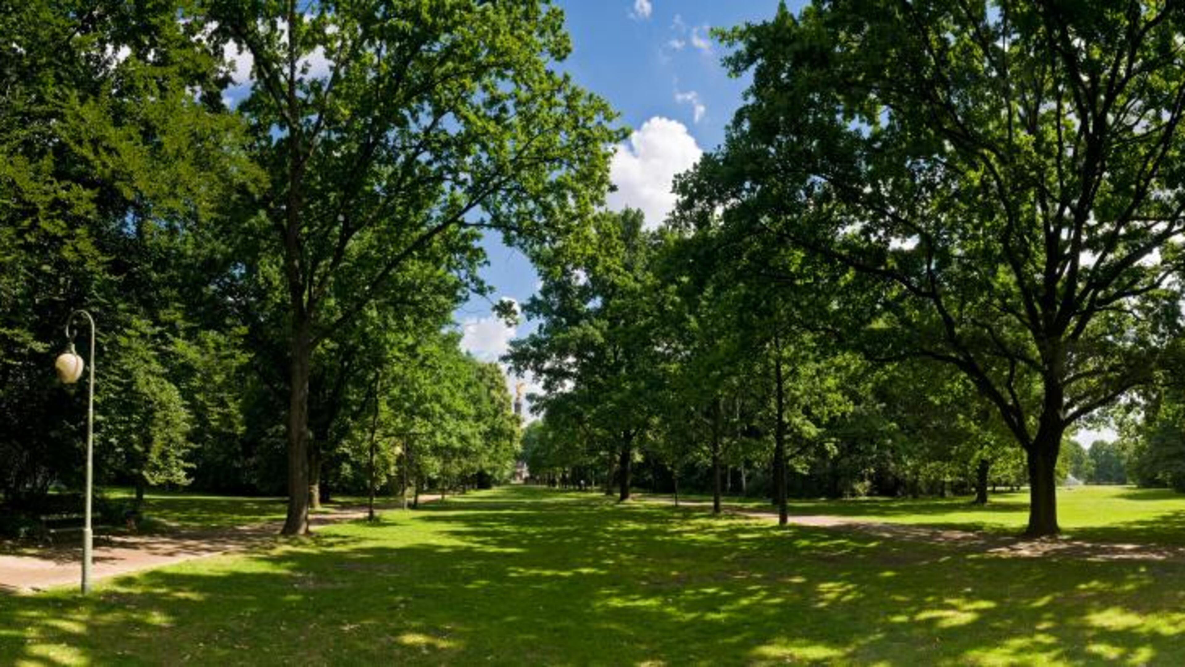 Brookhaven plans to buy and maintain 33 acres of forested land.