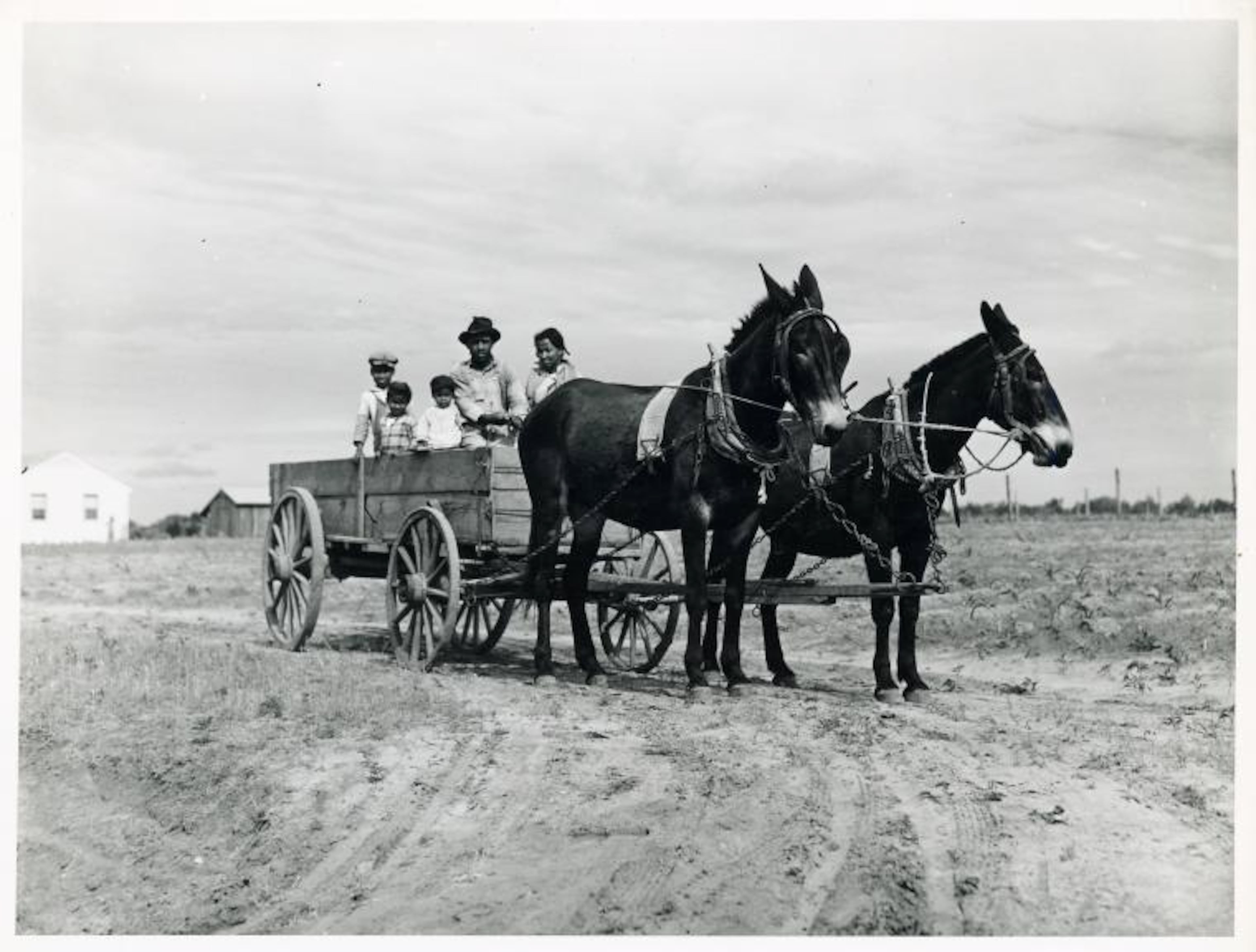 Ben Turner and family in their wagon with mule team at Flint River Farms in May 1939.
Courtesy of Marion P. Wolcott / New York Public Library Digital Collections
