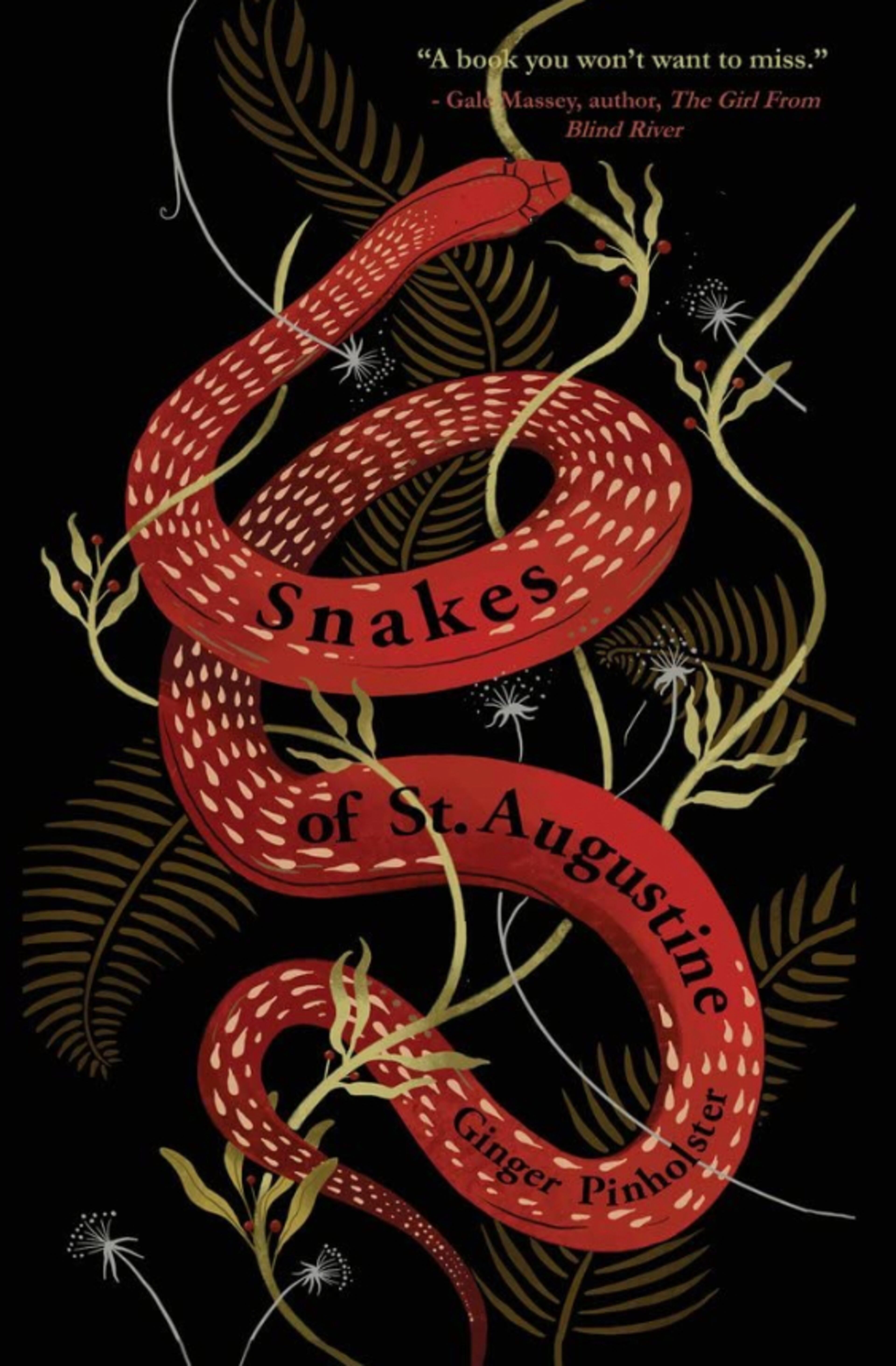 "Snakes of St. Augustine" by Ginger Pinholster
Courtesy of Regal House Publishing
