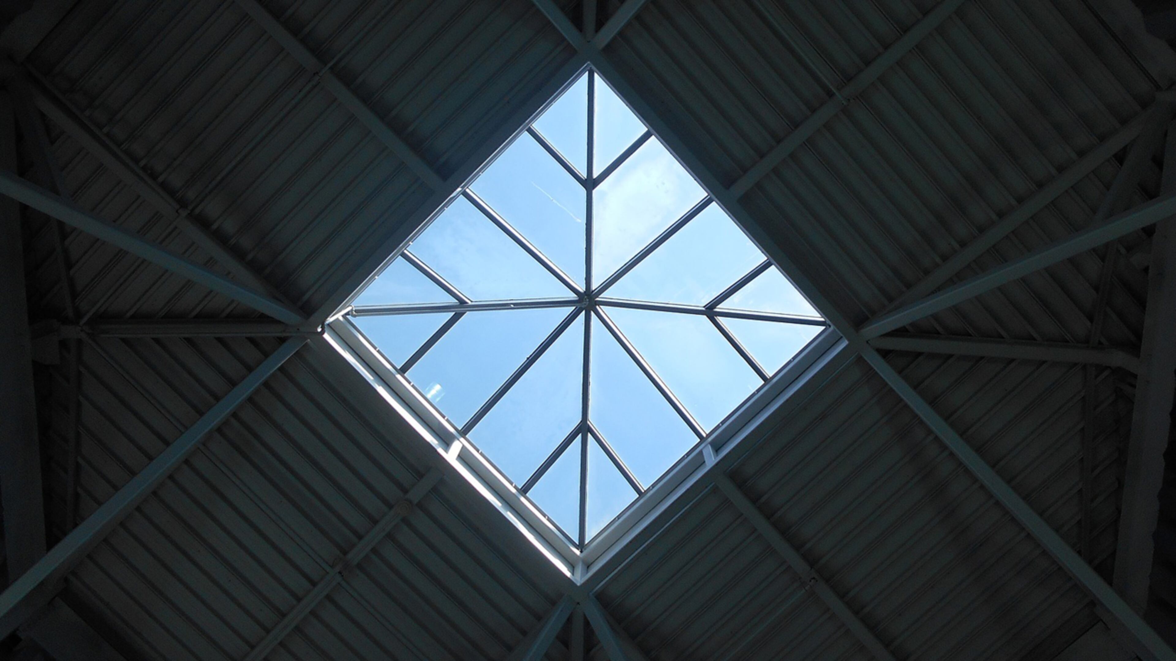 A 19 -year-old man fell through a skylight during a wrestling match in Florida.