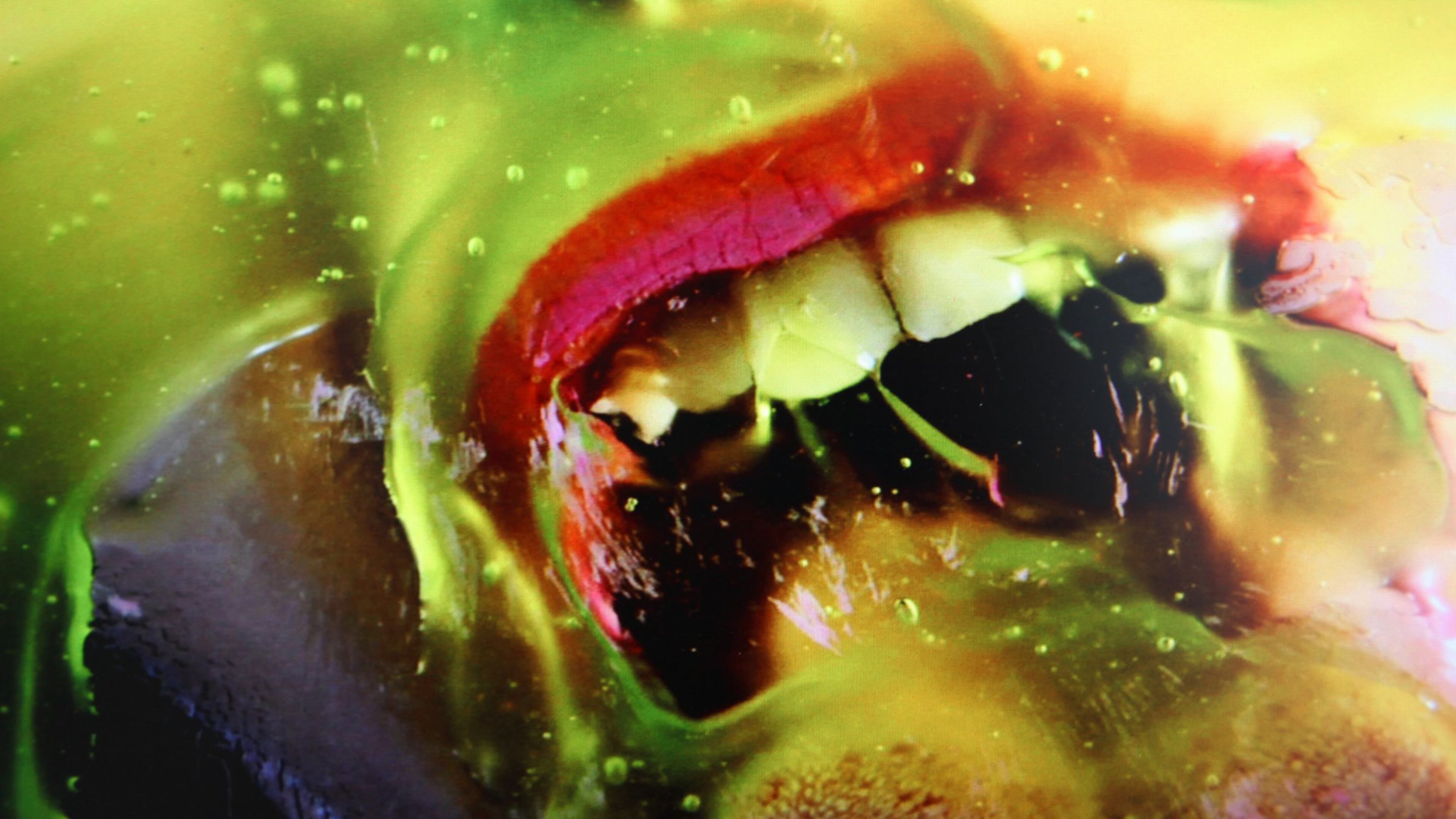 A still from Marilyn Minter’s video “Green Pink Caviar” (2009), featured in “Gut Feelings” at Zuckerman Museum of Art. CONTRIBUTED BY THE ARTIST AND SALON 94, NEW YORK