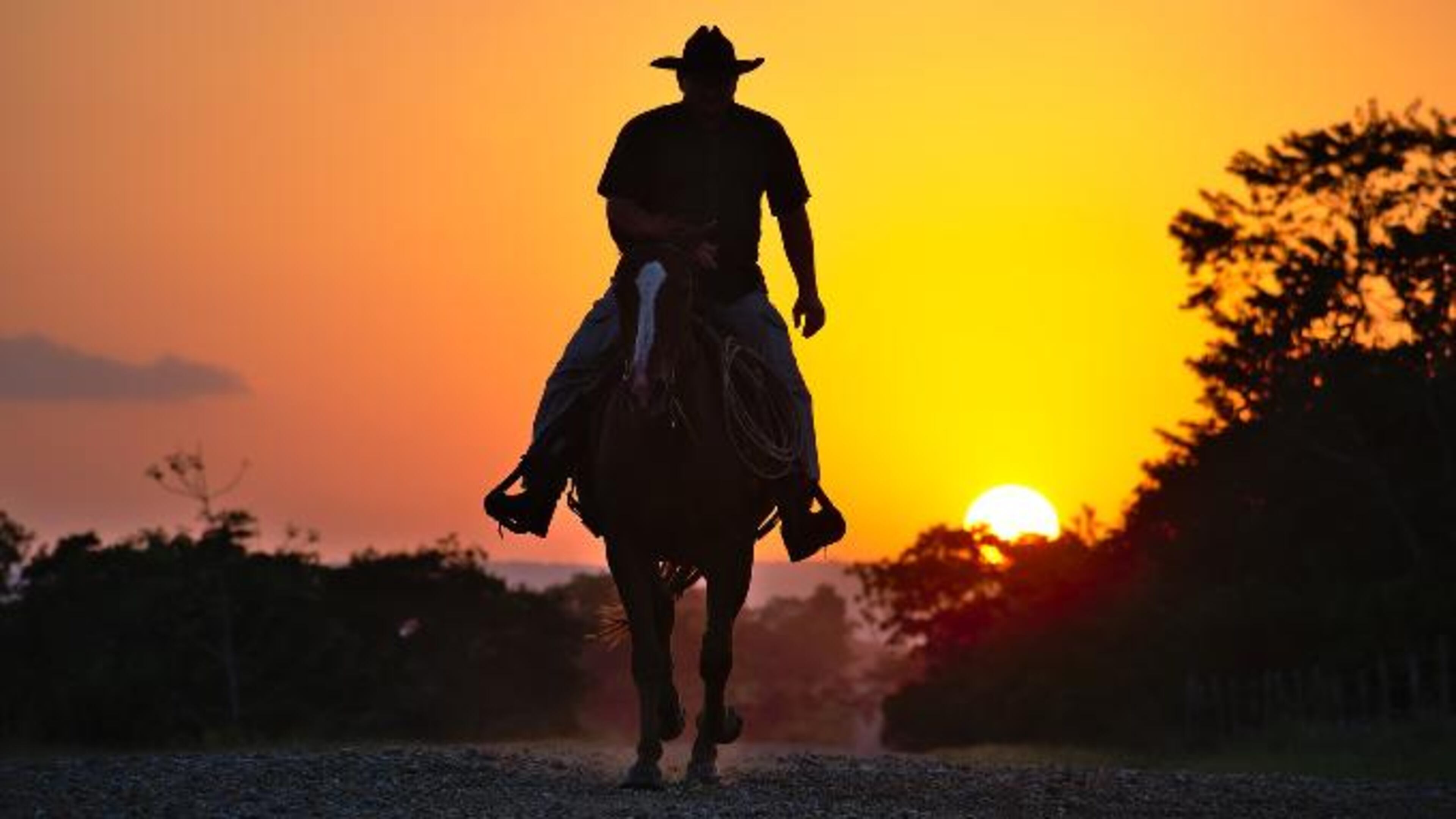 File photo of a cowboy riding a horse. (Photo credit: RonaldPlett / Pixabay.com)