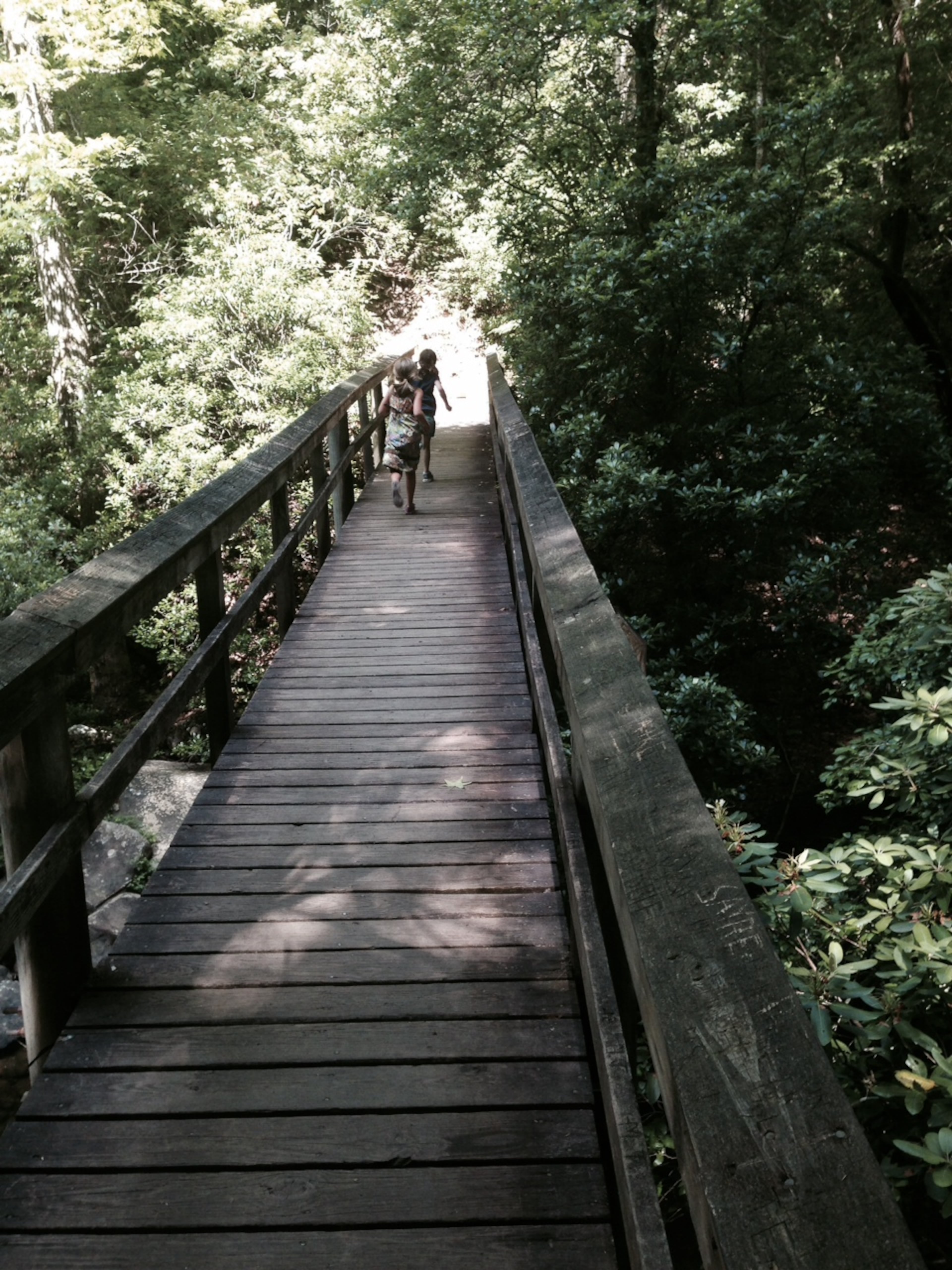 Isabel and Mira run across a wooden bridge, eager to see what's next as we step outside our yurt to hike and explore.
