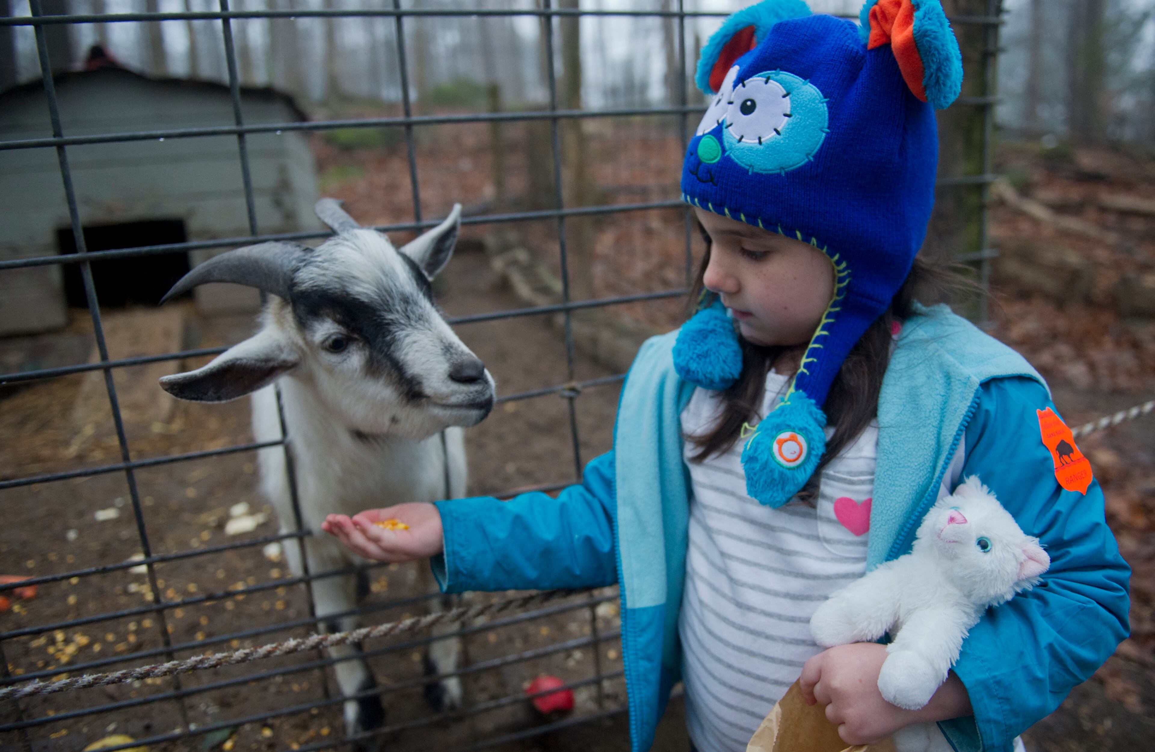 Kyrie Abell feeds a goat at the Yellow River Game Ranch in Lilburn on Sunday, February 2, 2014.