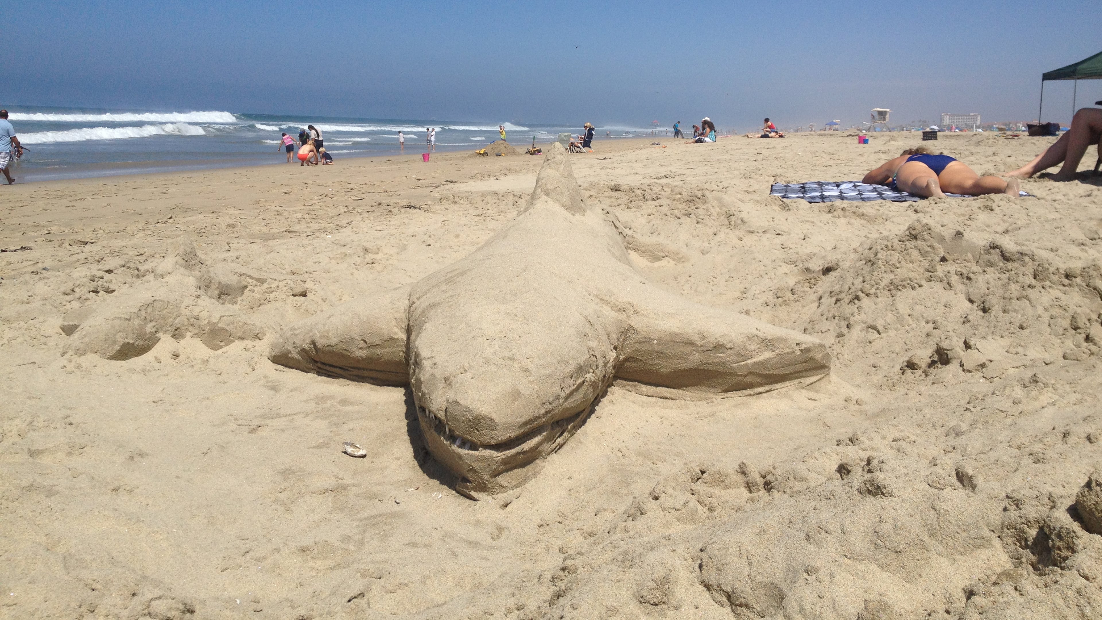 Sharks hold a fascination for beachgoers, including the anonymous sand sculptor at Huntington State Beach in July 2014. (Margot Roosevelt/Orange County Register/TNS)