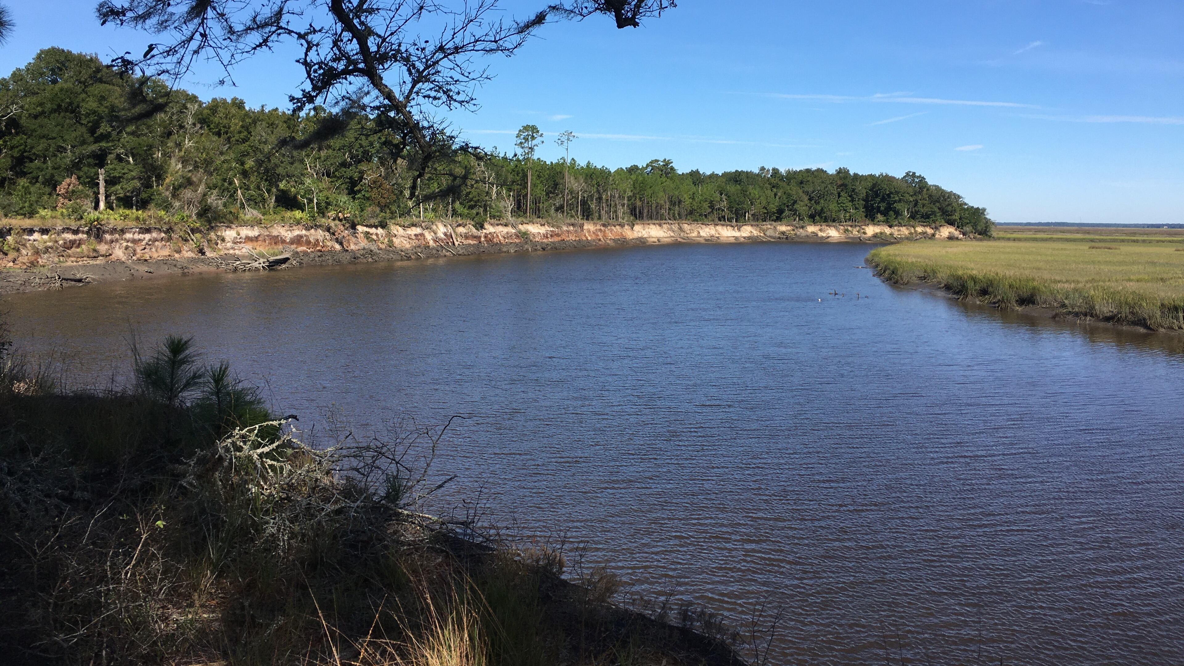 The Conservation Fund and Open Space Institute have purchased 16,000 acres of Georgia coastline in Southeast Georgia to conserve the ecologically important area.