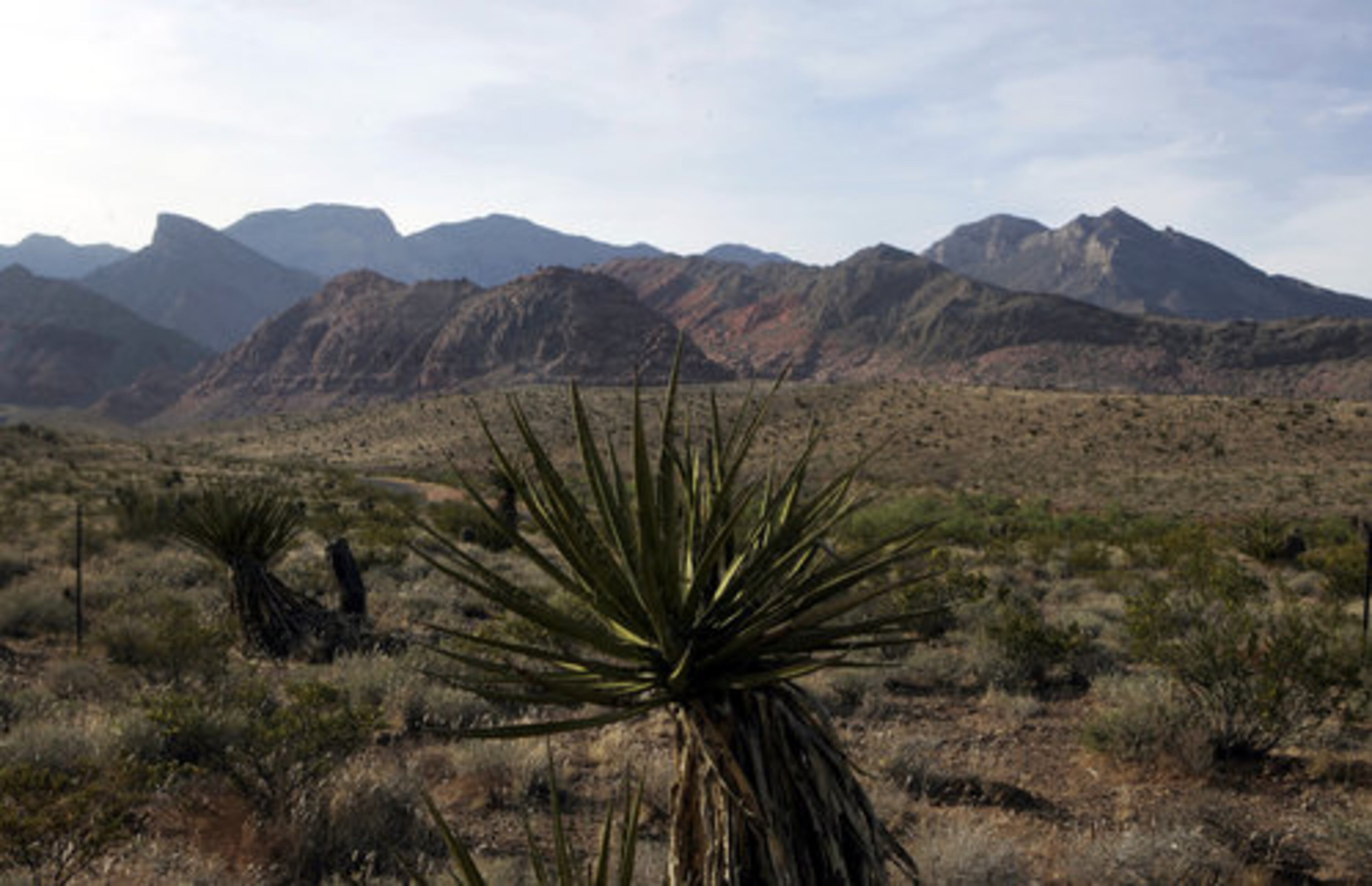 WHEN YOU step away from the slots, take in the beauty of Red Rock Canyon National Conservation Area, where you can hike, bike and ride horseback.