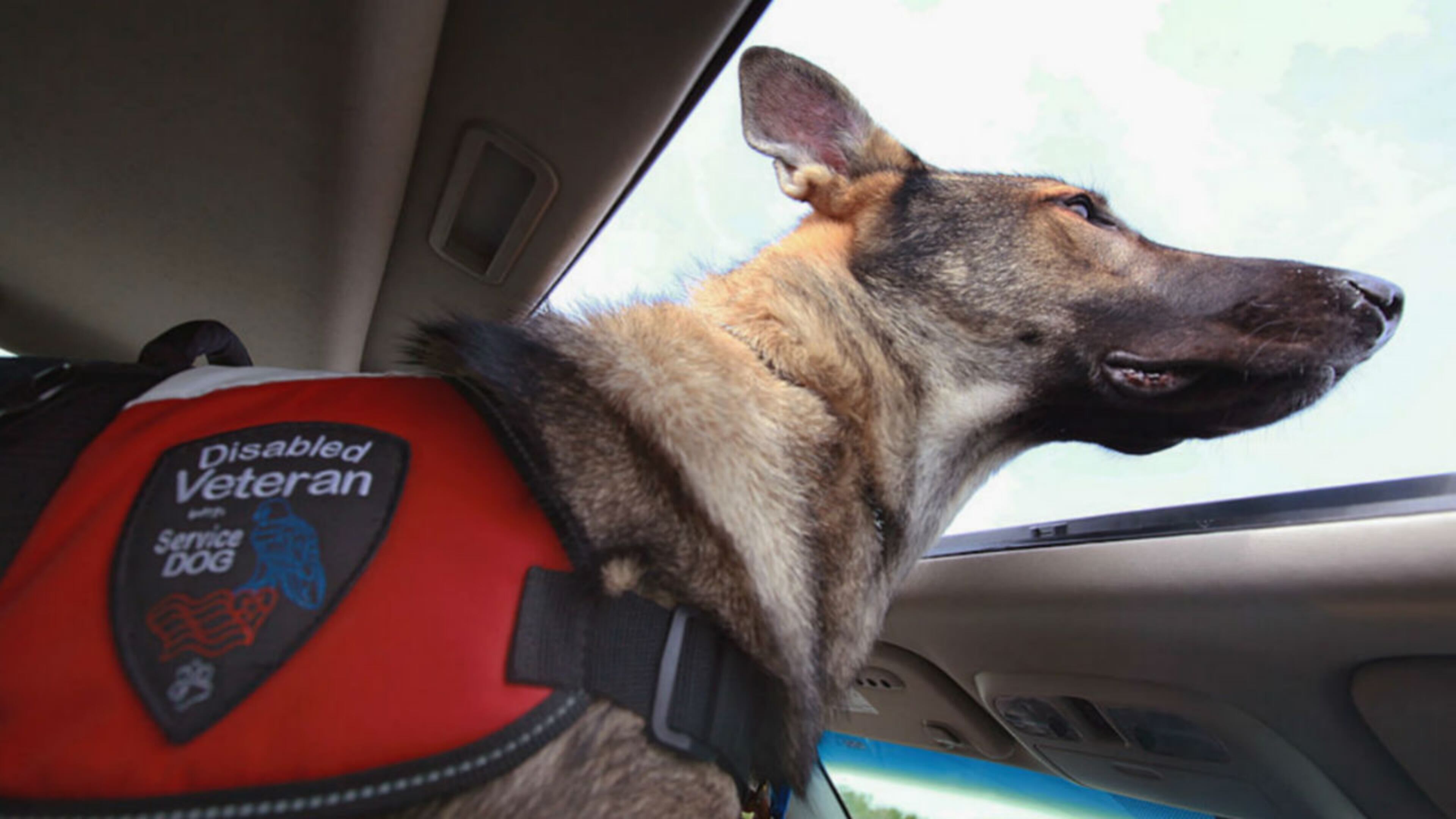 File photo. (Photo: Scott Olson/Getty Images)