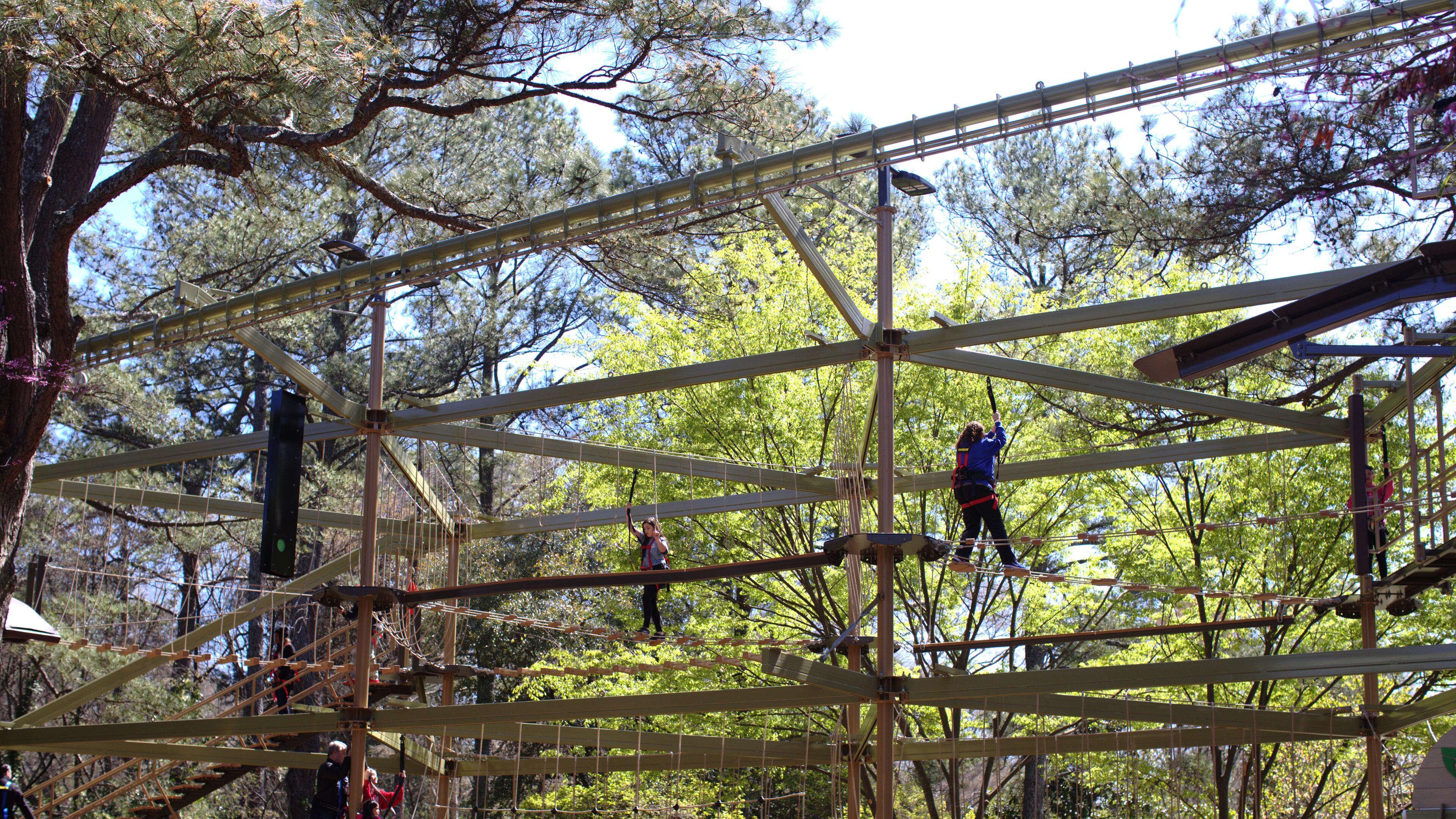 Photo courtesy of Zoo Atlanta