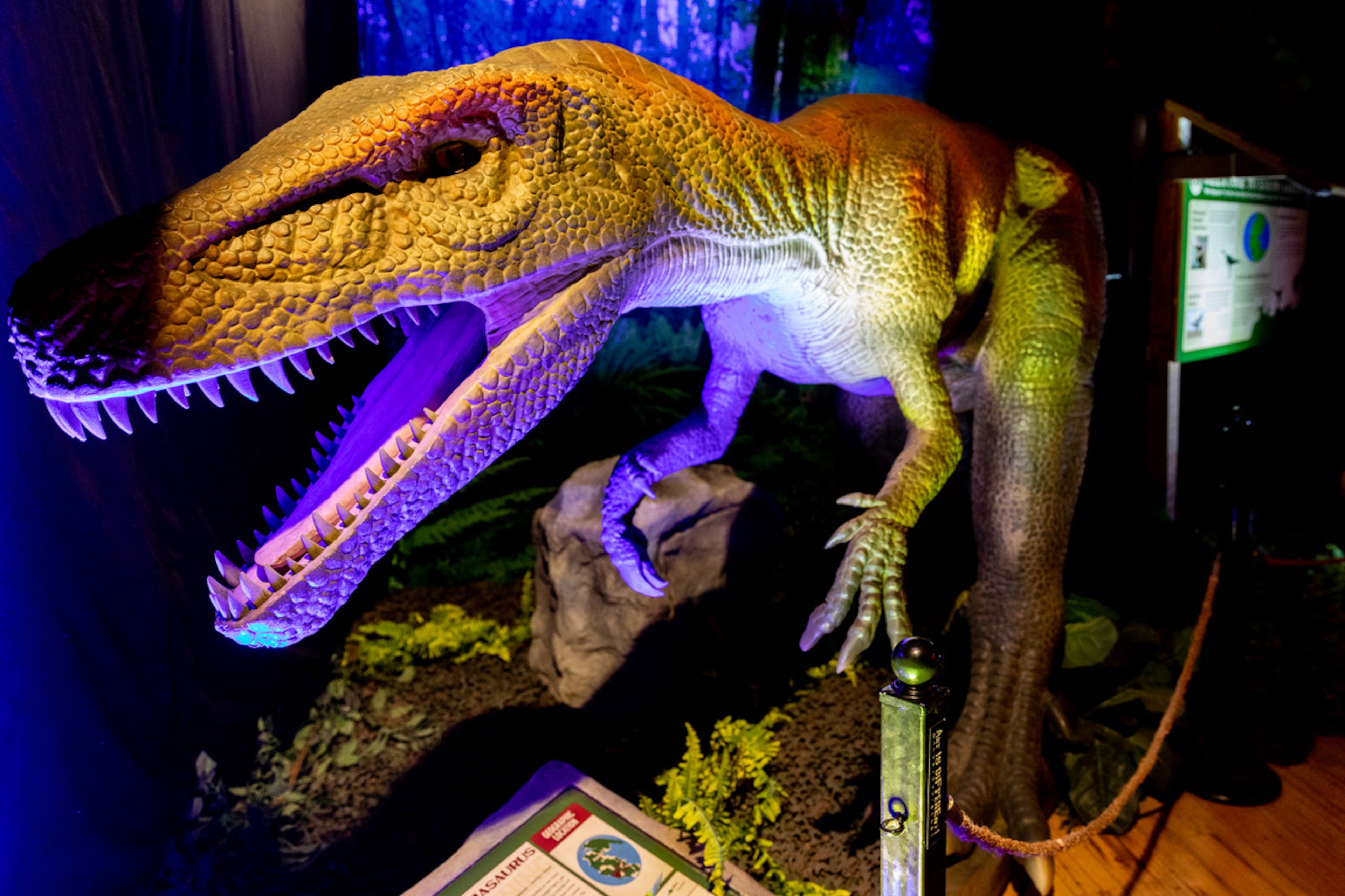 Dino Safari Atlanta at North Point Mall