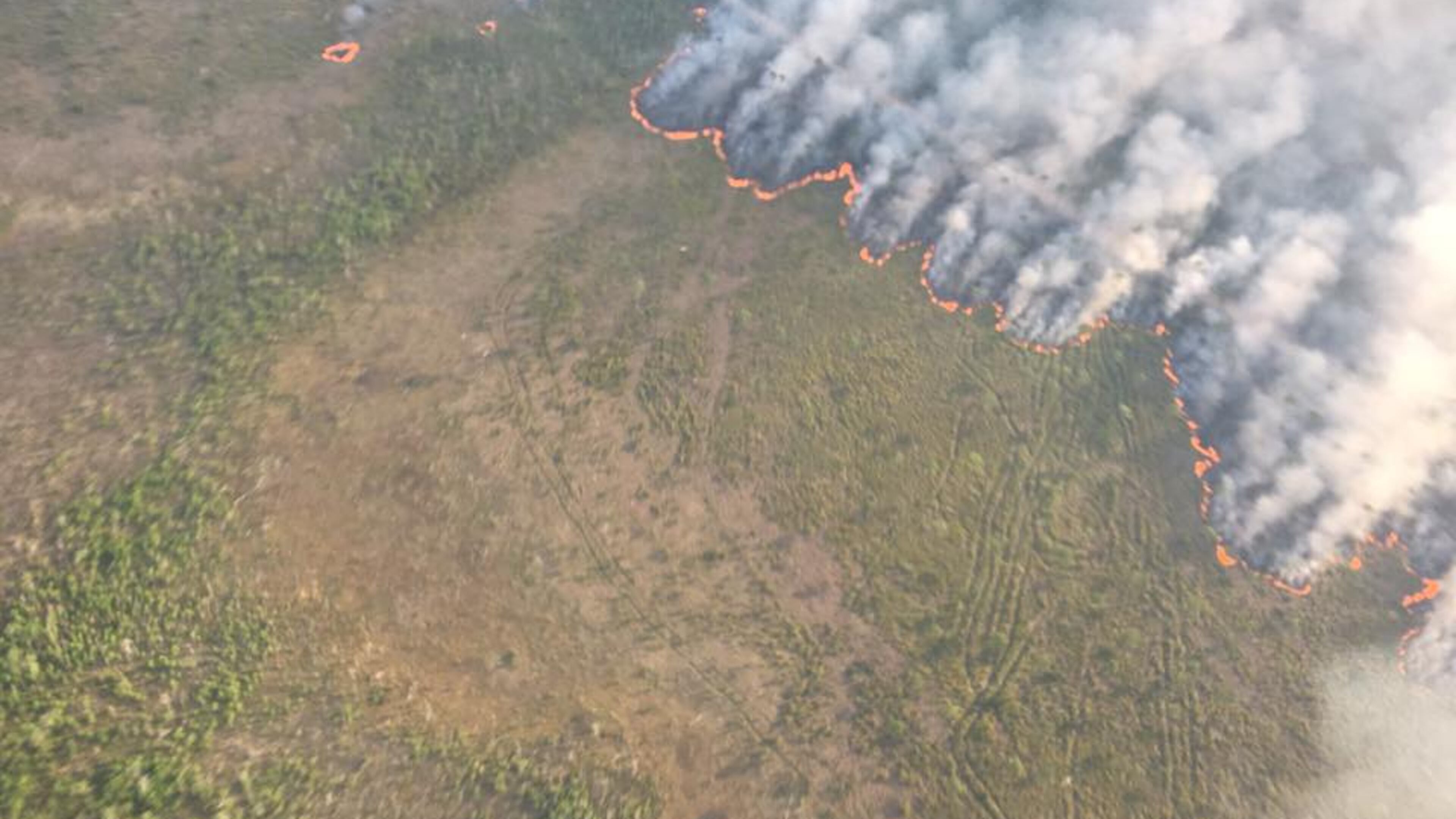 Wildfire caused the West Mims Fire in the Okefenokee National Wildlife Refuge to close Saturday. (Credit: Okefenokee National Wildlife Refuge)