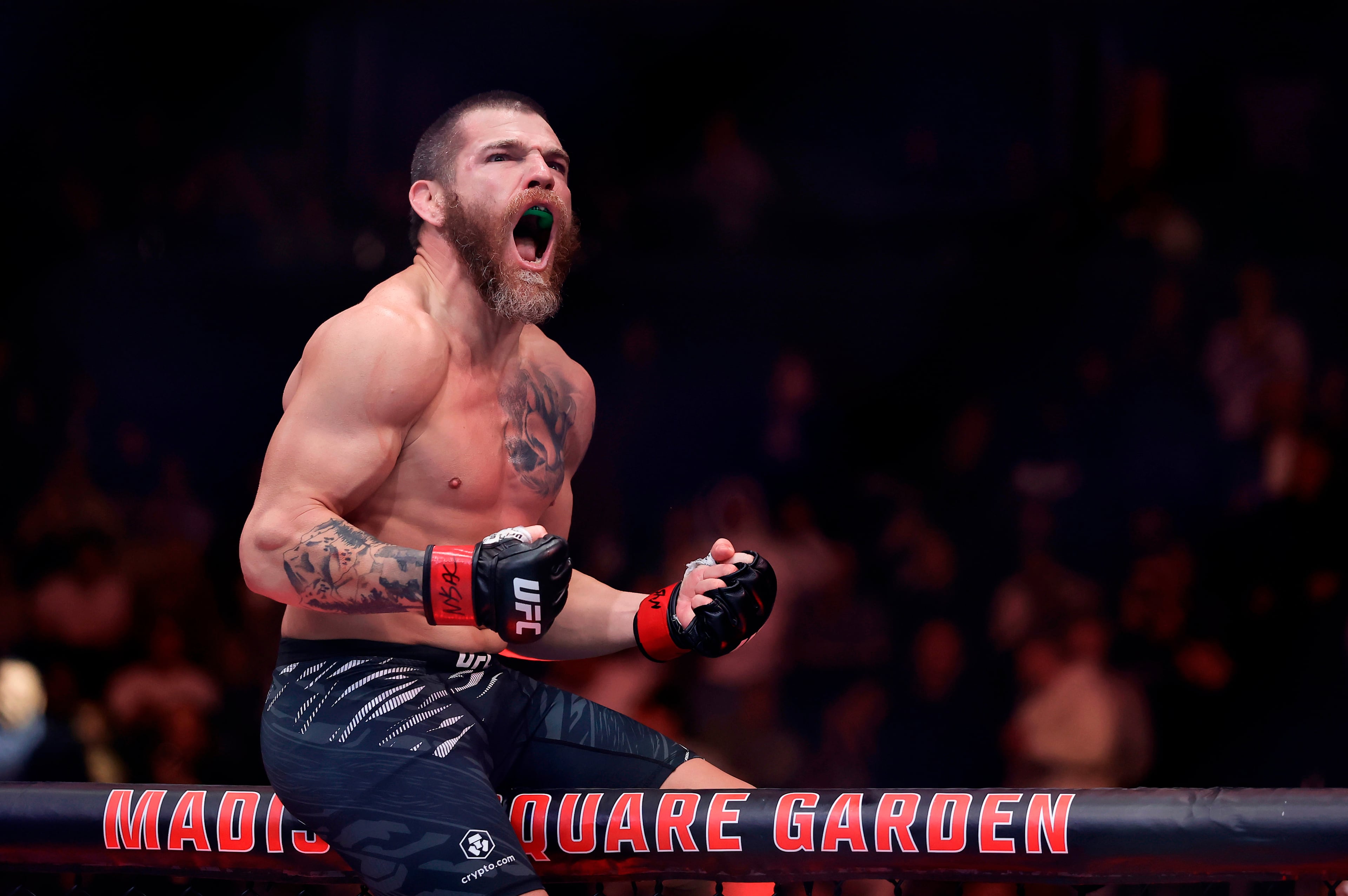 UFC 328 Preview Mixed Martial Arts
