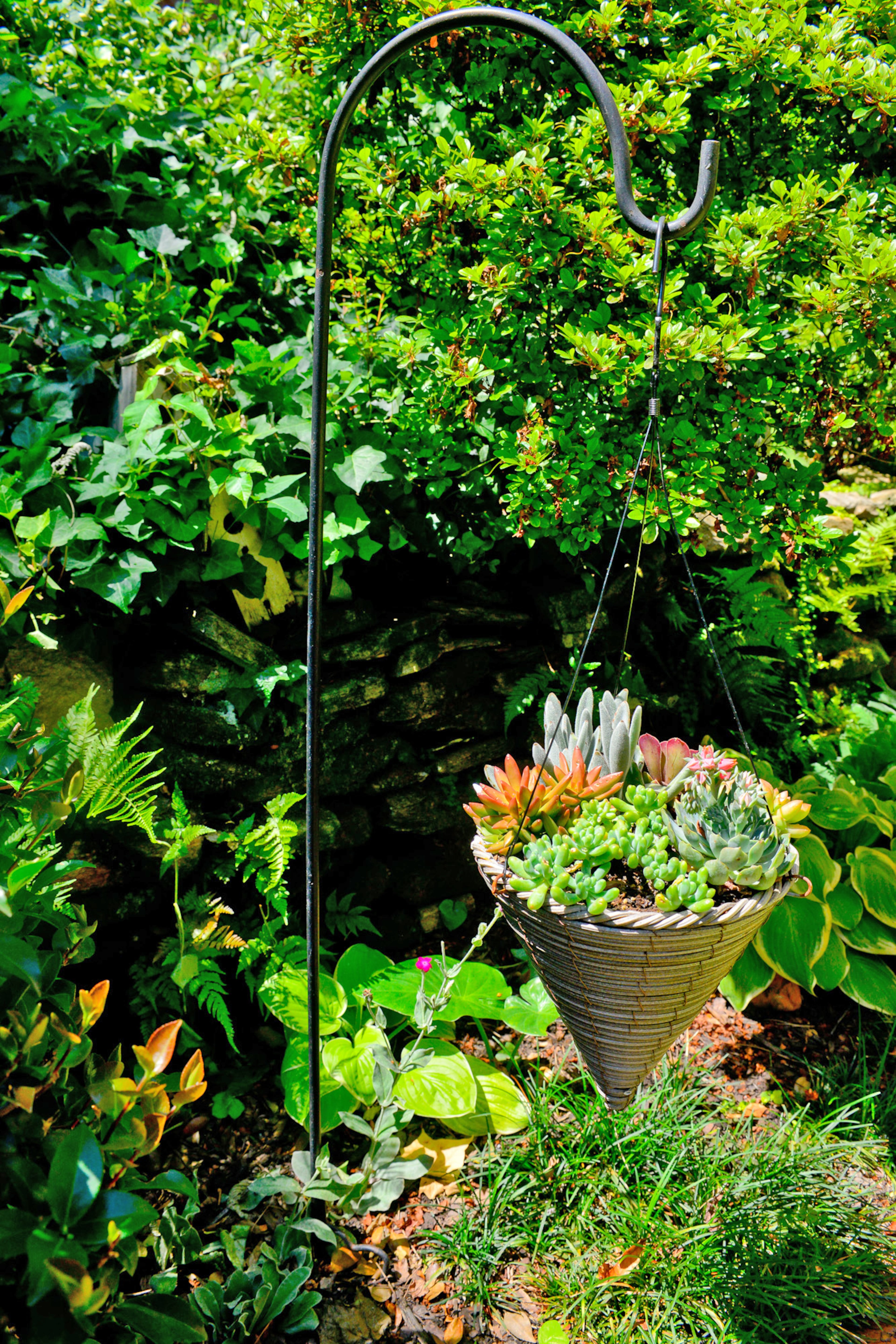 The garden has extra touches throughout, such as a hanging basket with succulents.