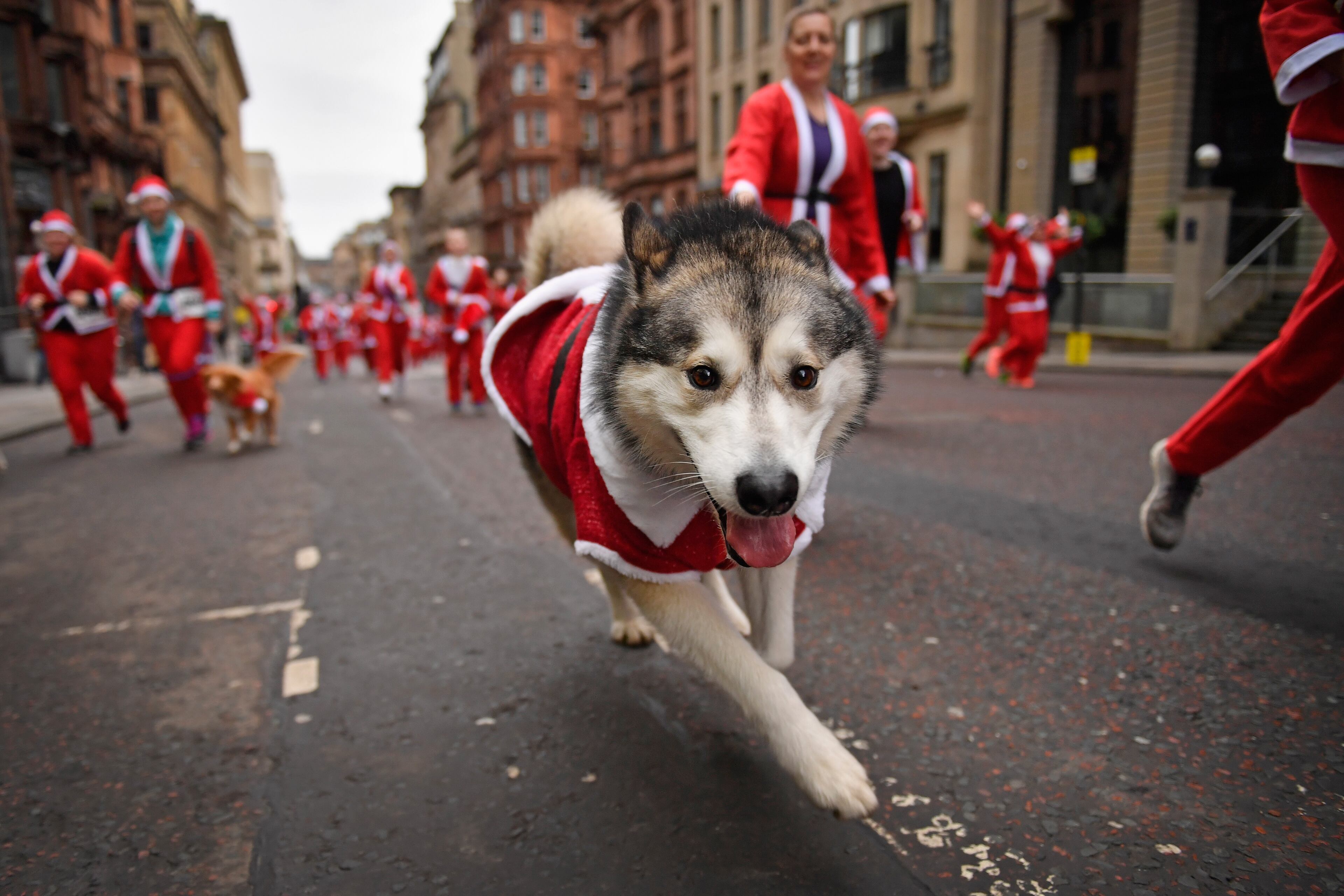 GLASGOW, SCOTLAND - DECEMBER 11: Over seven thousands of members of the public dressed as Santas make their way up St Vincent Street on December 11, 2016 in Glasgow, Scotland. The Santa Dash has been held since 2006 and this year is the 10th anniversary event, in total the event has raised over £100,000 for charities working in and around Glasgow. (Photo by Jeff J Mitchell/Getty Images)
