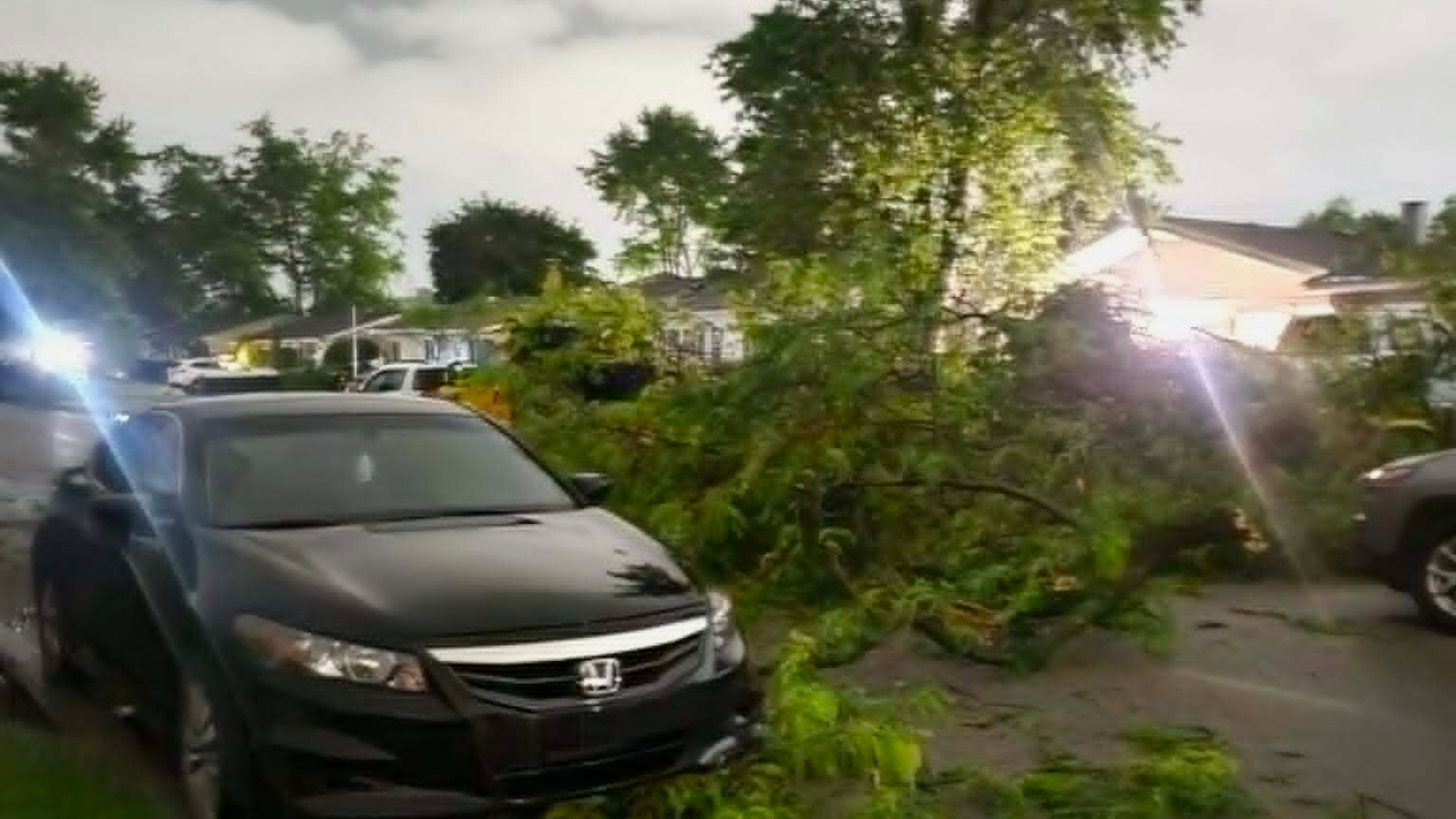Damaged tree branches lie on a street in Elkhart, Ind., Thursday, June 11, 2026, following a severe weather system in the area. (Jennifer Hall via AP)
