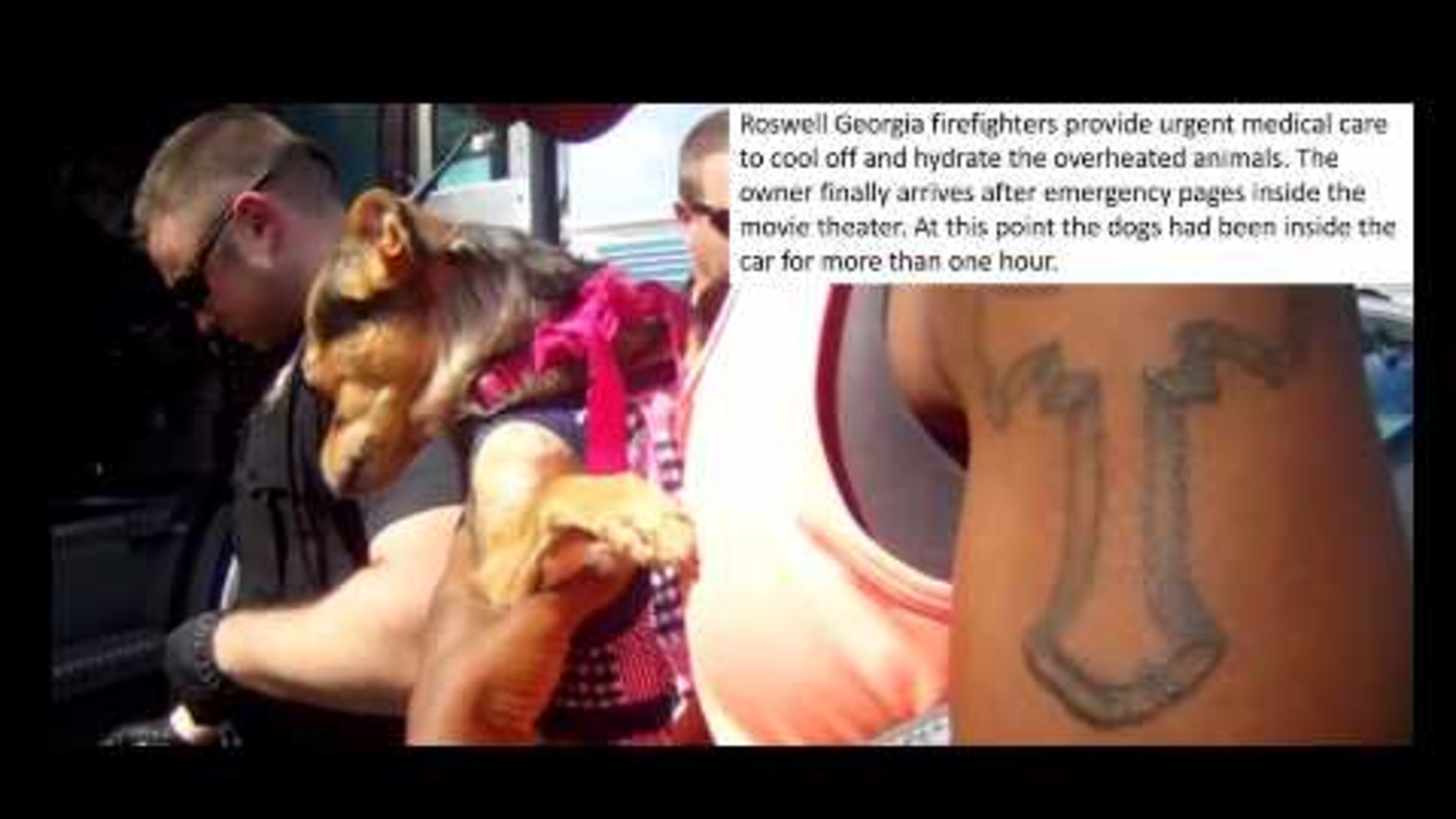 The pair of small dogs were left in a four-door black Chevrolet in a Roswell parking lot and were suffering from heat stroke, police said,