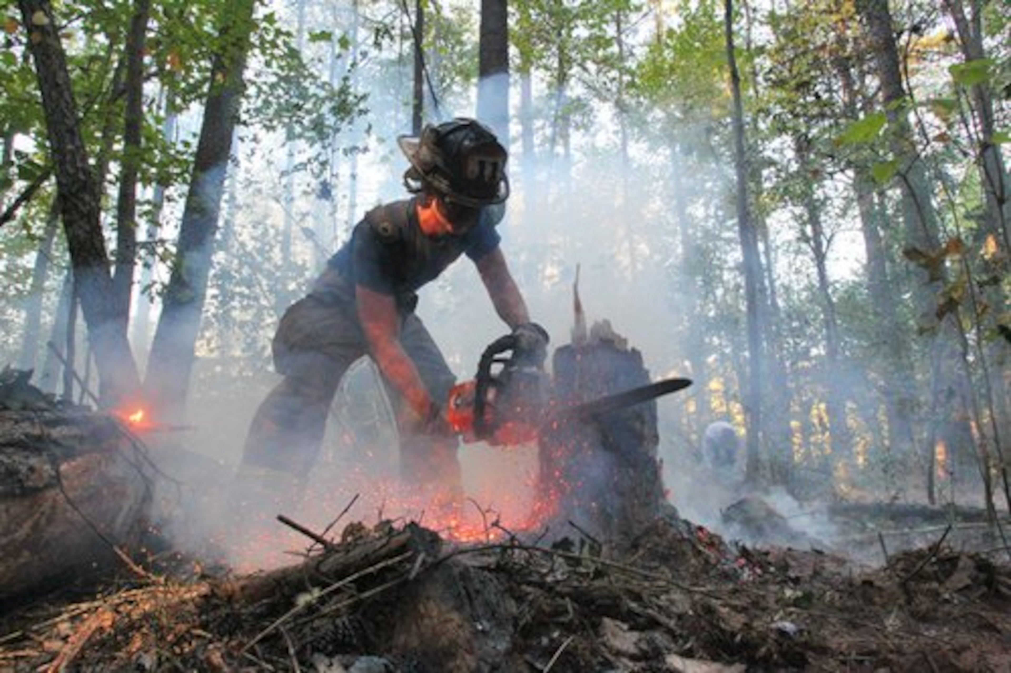 A DeKalb County firefighter saws through a stump while fighting the fire.
