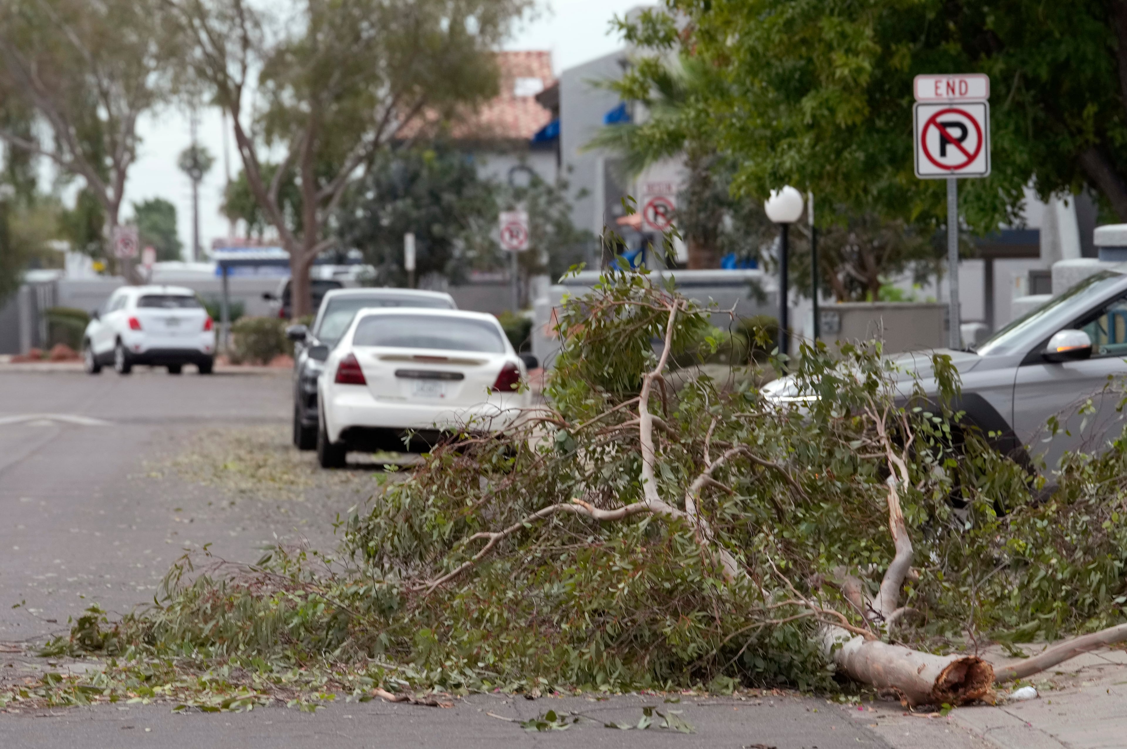 Extreme Weather Arizona