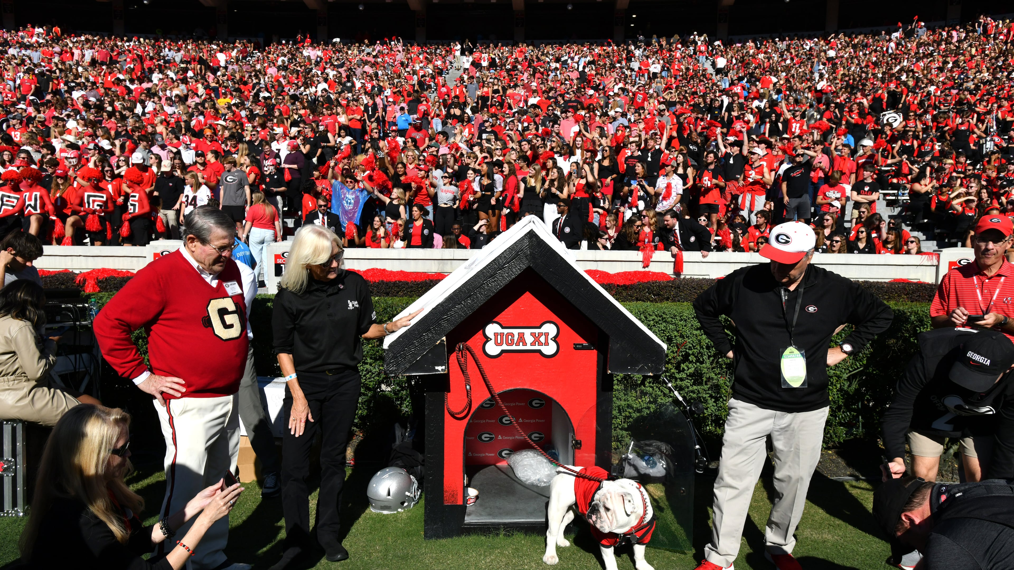 UGA XI, known as Boom, is surrounded by fans as he enters the football field before an NCAA football game against Missouri at Sanford Stadium, Saturday, November 4, 2023, in Athens. Georgia won 30-21 over Missouri. (Hyosub Shin / Hyosub.Shin@ajc.com)