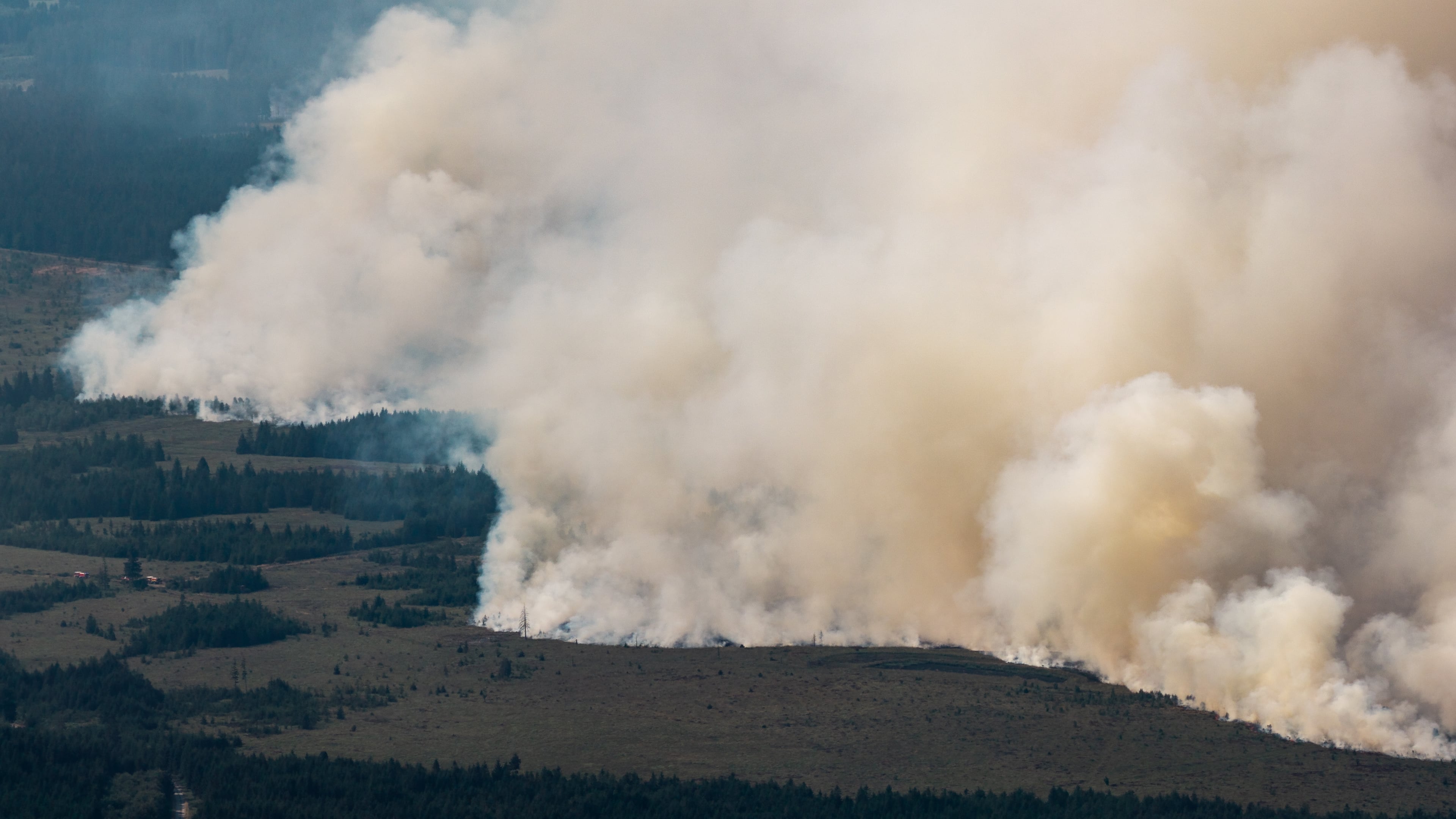 Smoke from a massive wildfire in Belgium's Hohes Venn region is seen from Germany, Sunday, Aug. 16, 2026. (Christoph Reichwein/dpa via AP)