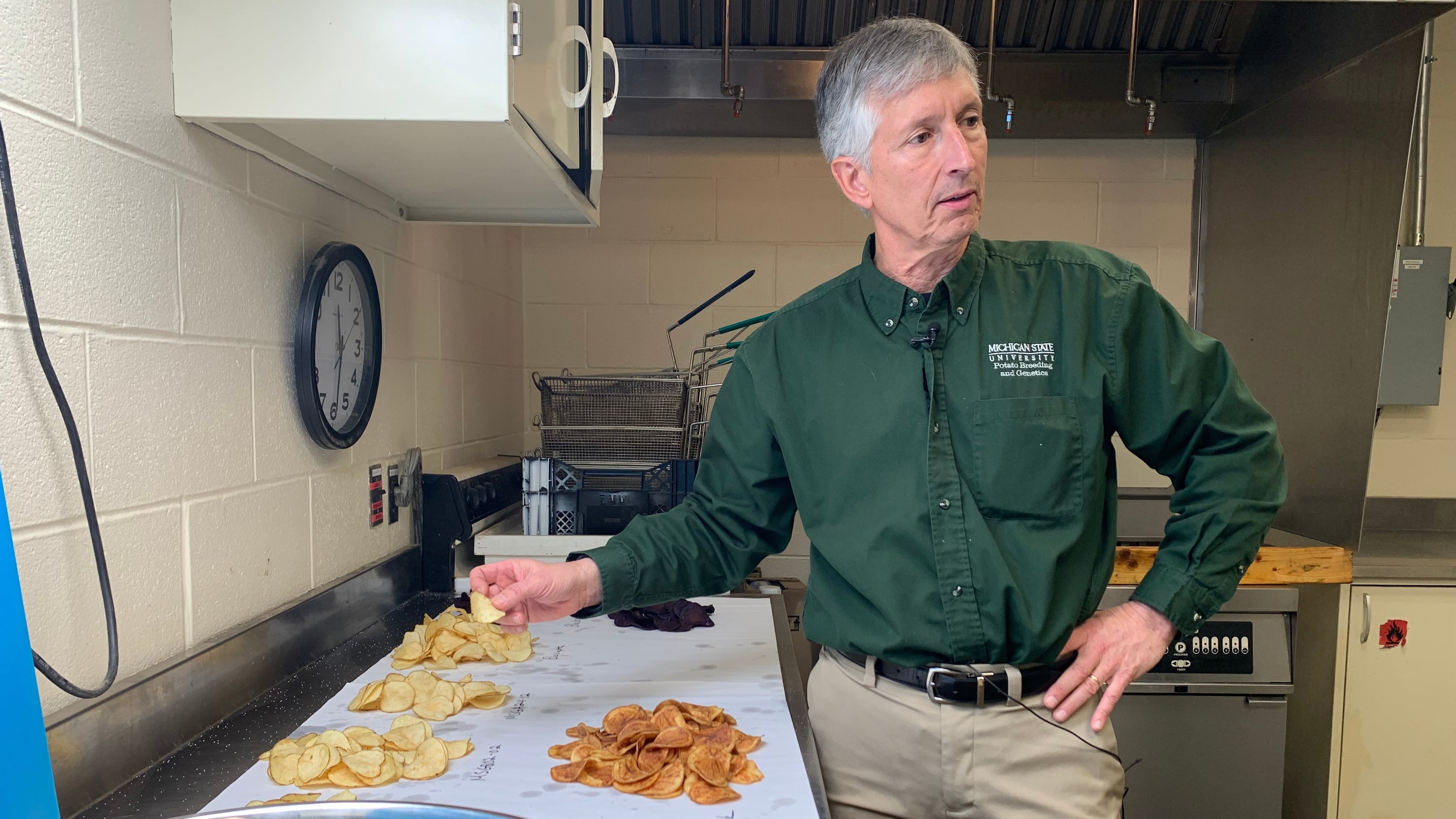David Douches, a Michigan State University professor who leads the school's Potato Breeding and Genetics Program, holds a potato chip in his hand during a taste testing in East Lansing, Mich., on Tuesday, March 24, 2026 (AP Photo/Mike Householder)