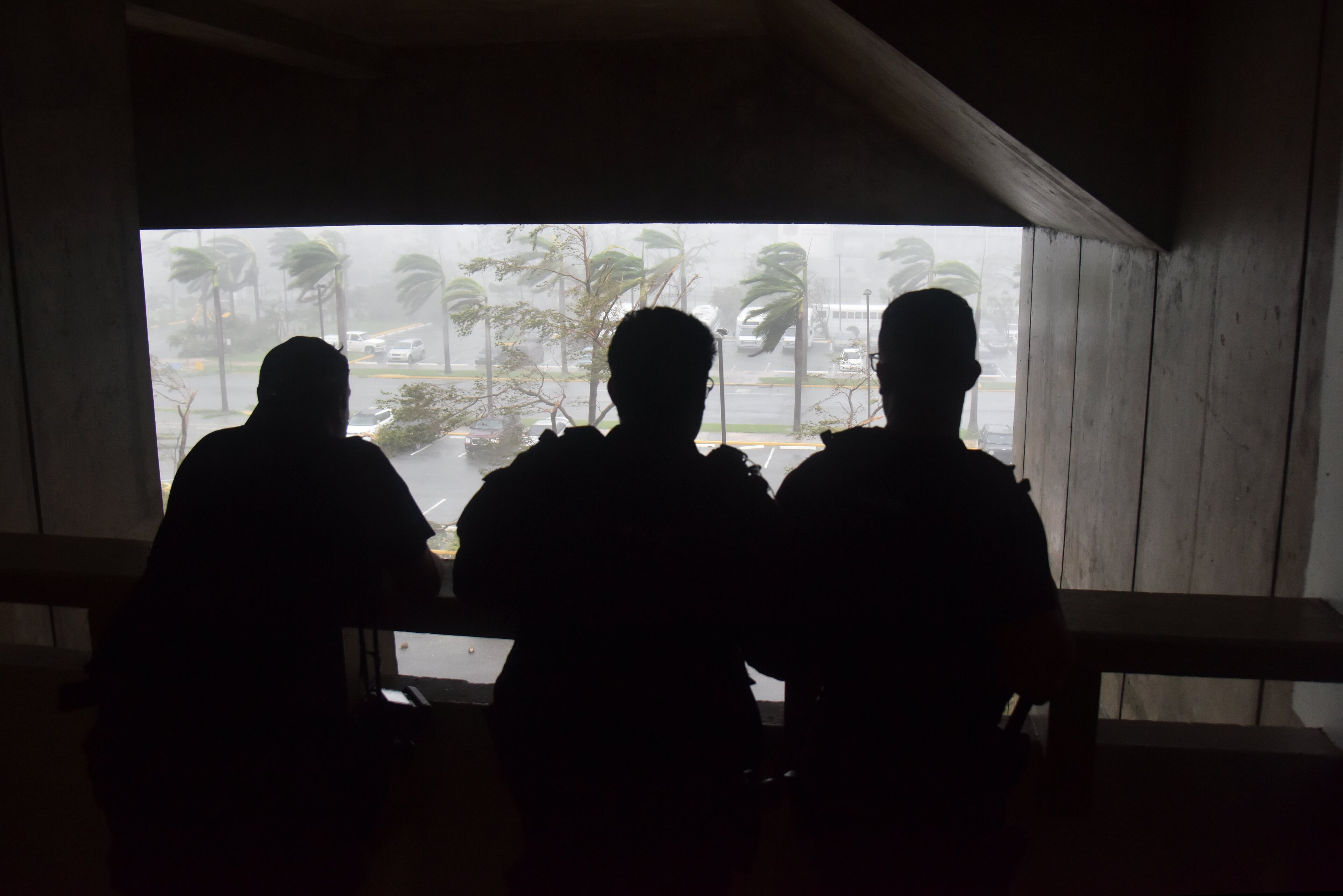 A photographer and police officers look as trees are toppled in a parking lot at Roberto Clemente Coliseum in San Juan, Puerto Rico, on September 20, 2017, during the passage of the Hurricane Maria.
Maria made landfall on Puerto Rico on Wednesday, pummeling the US territory after already killing at least two people on its passage through the Caribbean. The US National Hurricane Center warned of "large and destructive waves" as Maria came ashore near Yabucoa on the southeast coast. / AFP PHOTO / HECTOR RETAMAL (Photo credit should read HECTOR RETAMAL/AFP/Getty Images)