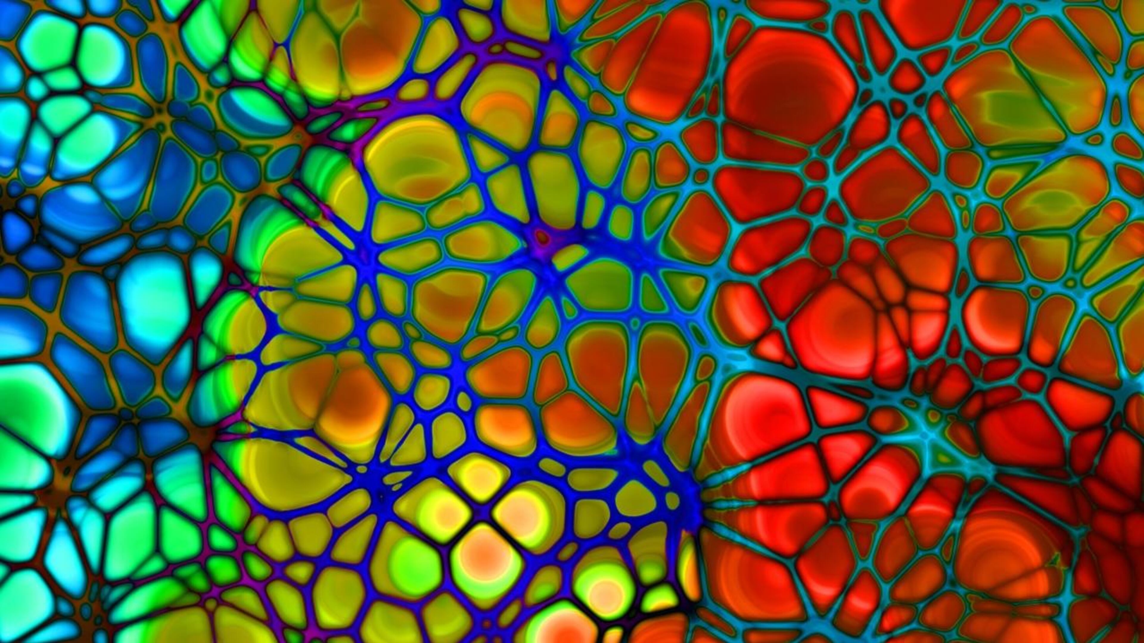 A drawing of a web of veins. A new study explored the link between height and varicose veins, which are swollen, twisted veins that are visible just under the surface of the skin. The condition, usually in the legs, can cause moderate pain and can lead to more serious side effects like blood clots.