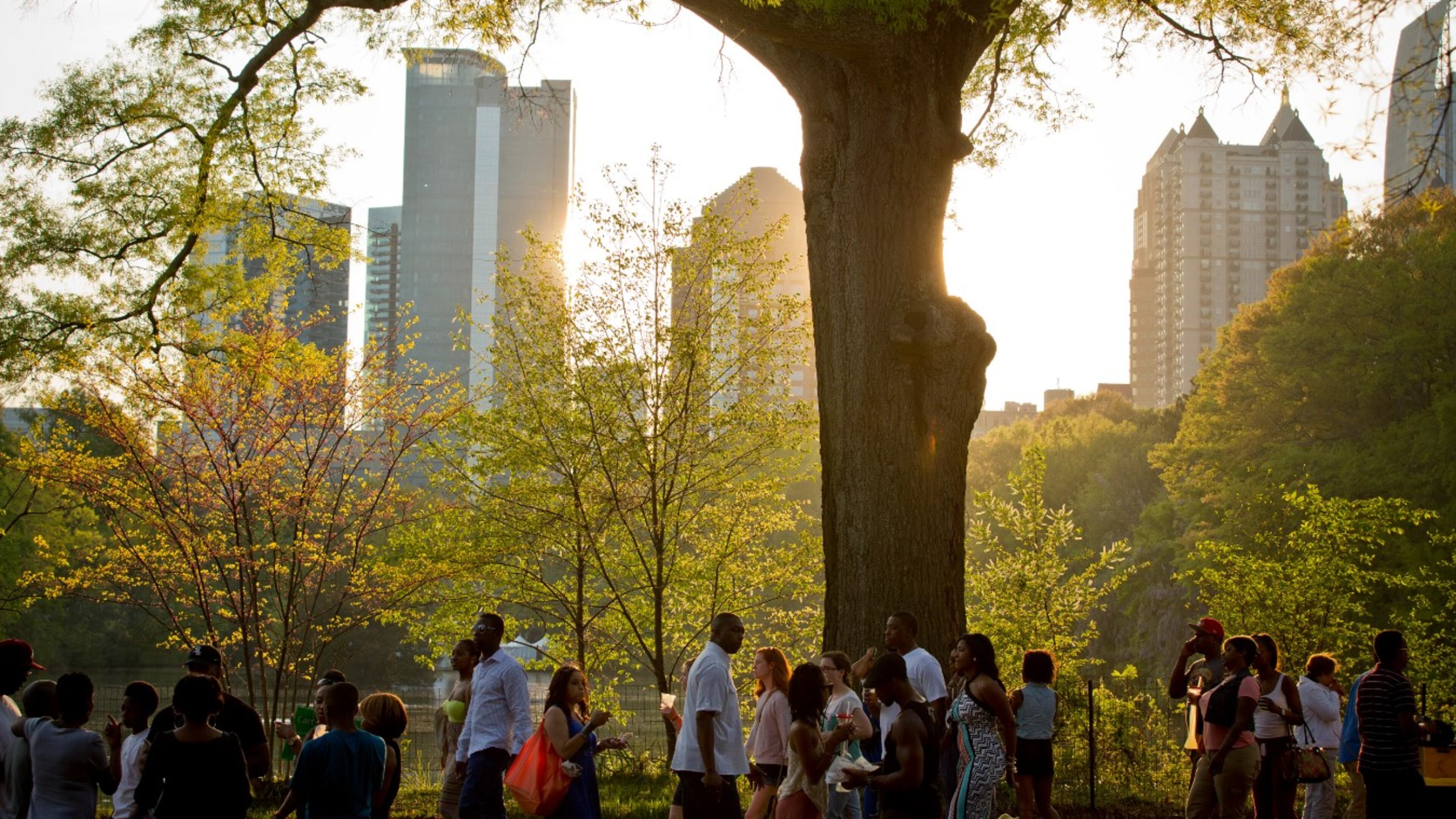 Atlanta needs a better, more updated Tree Protection Ordinance to help reverse tree loss and increase the environmental benefits we get from increased canopy coverage. (Courtesy of Atlanta Dogwood Festival 2023)
