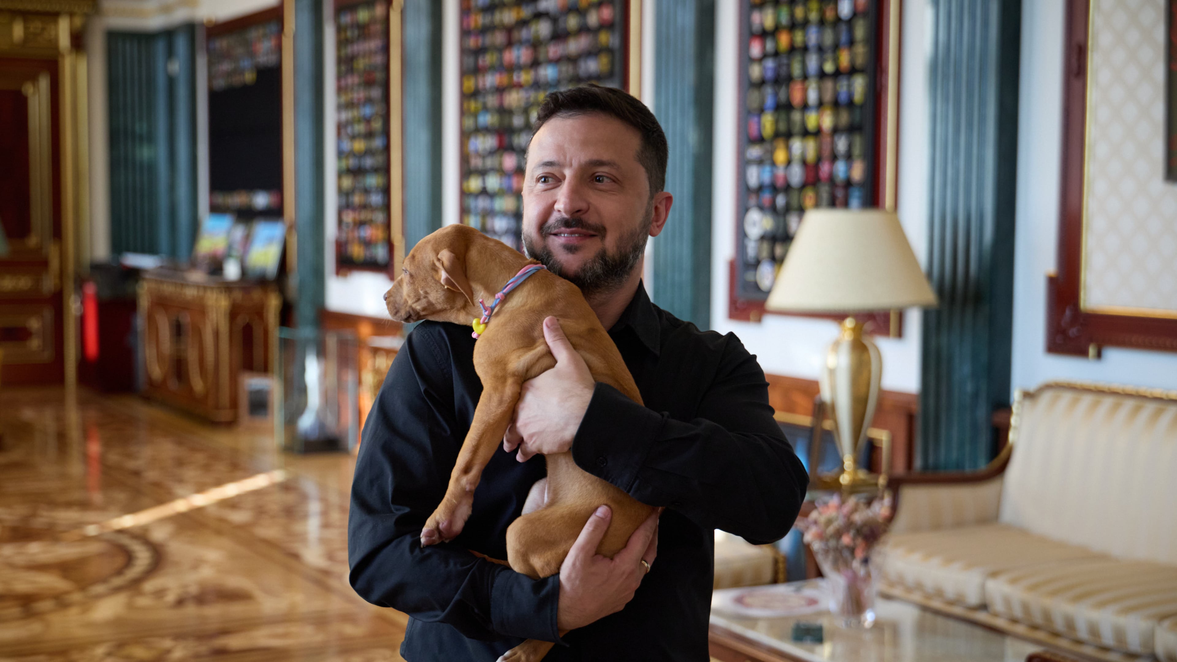 In this photo provided by the Ukrainian Presidential Press Office, Ukrainian President Volodymyr Zelenskyy holds a special gift from American boxer Terence Crawford - an American Pit Bull Terrier puppy named Freya, linked to the Ukrainian air defense system FREYJA, which is currently in development, in Kyiv, Ukraine, Tuesday, Aug. 25, 2026. (Ukrainian Presidential Press Office via AP)