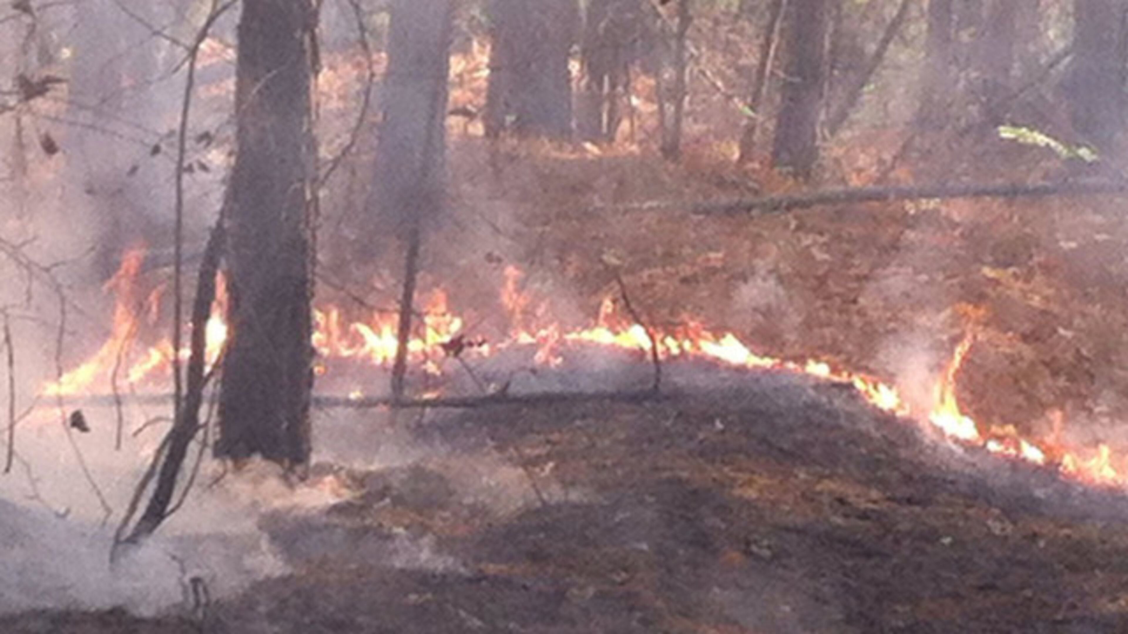 A wildfire burned about 10 acres in Cherokee County this weekend. (Credit: Channel 2 Action News)