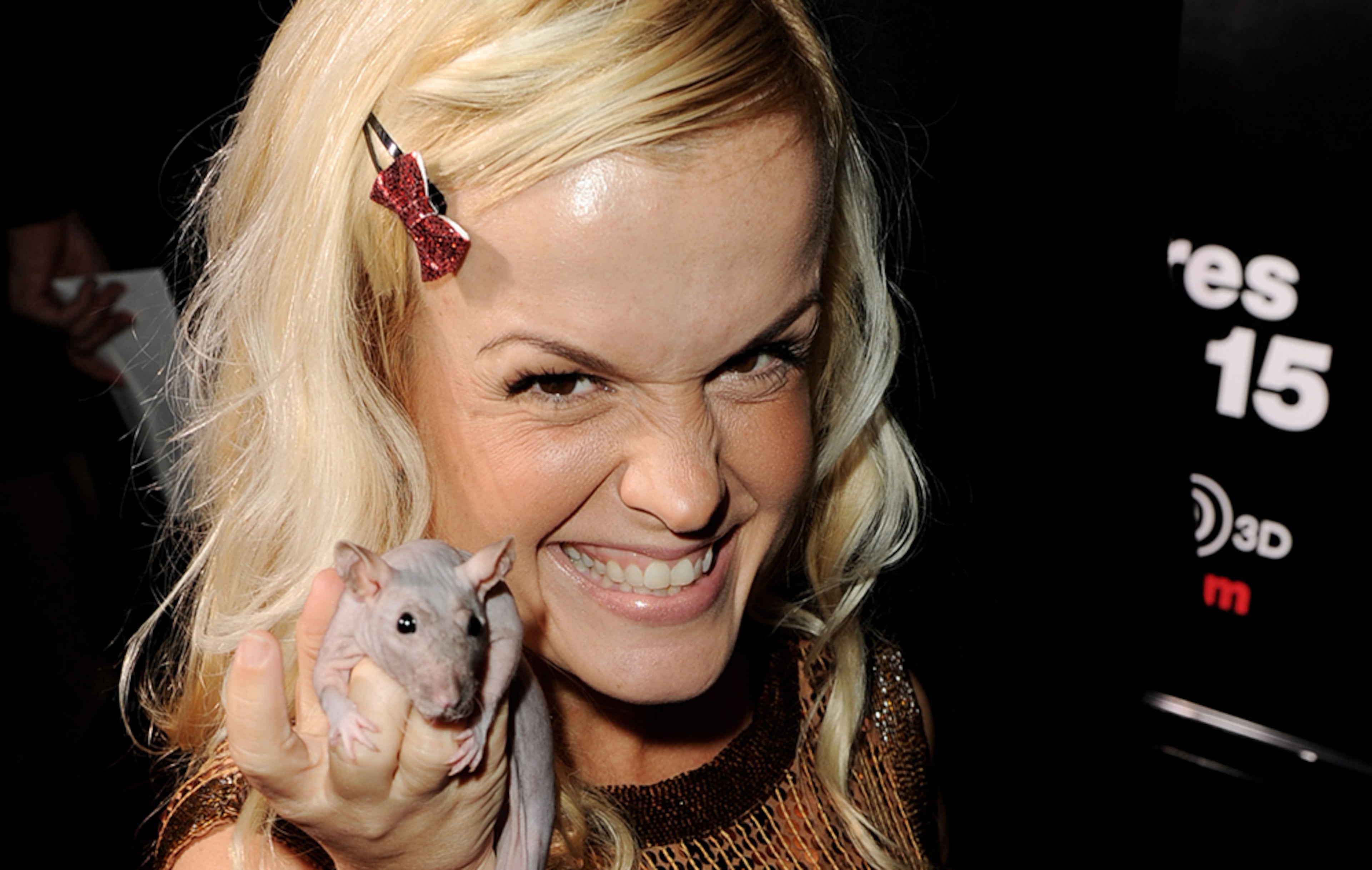 "Little Women: LA" reality star Terra Jole is partnering with pro dancer Sasha Farber. ABC announced on Aug. 30, 2016, that Jole will take part in the upcoming season of "Dancing with the Stars." (Photo by Kevin Winter/Getty Images)