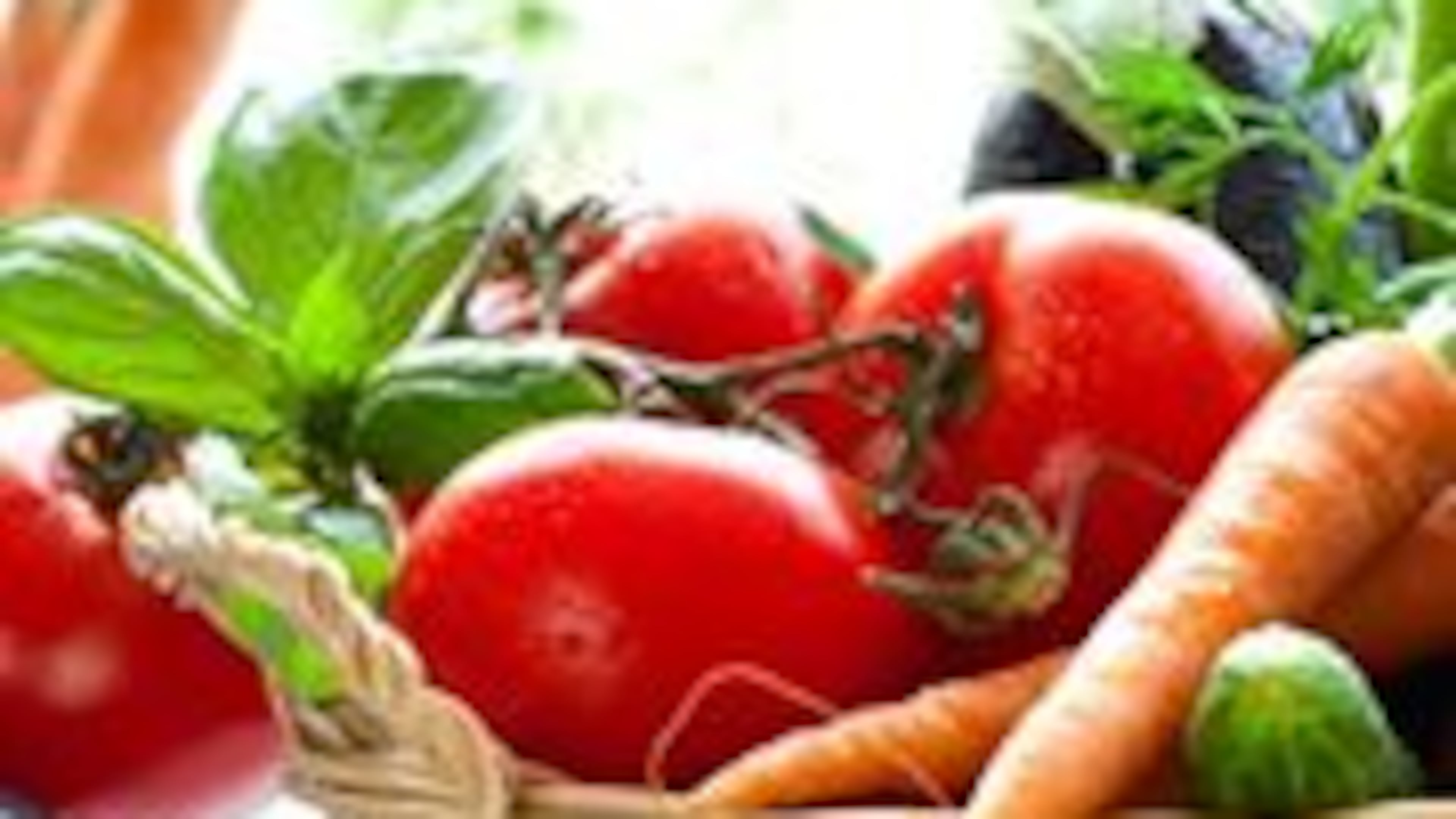 The Norcross Community Market will debut on June 4 at at Lillian Webb Park in historic downtown Norcross.