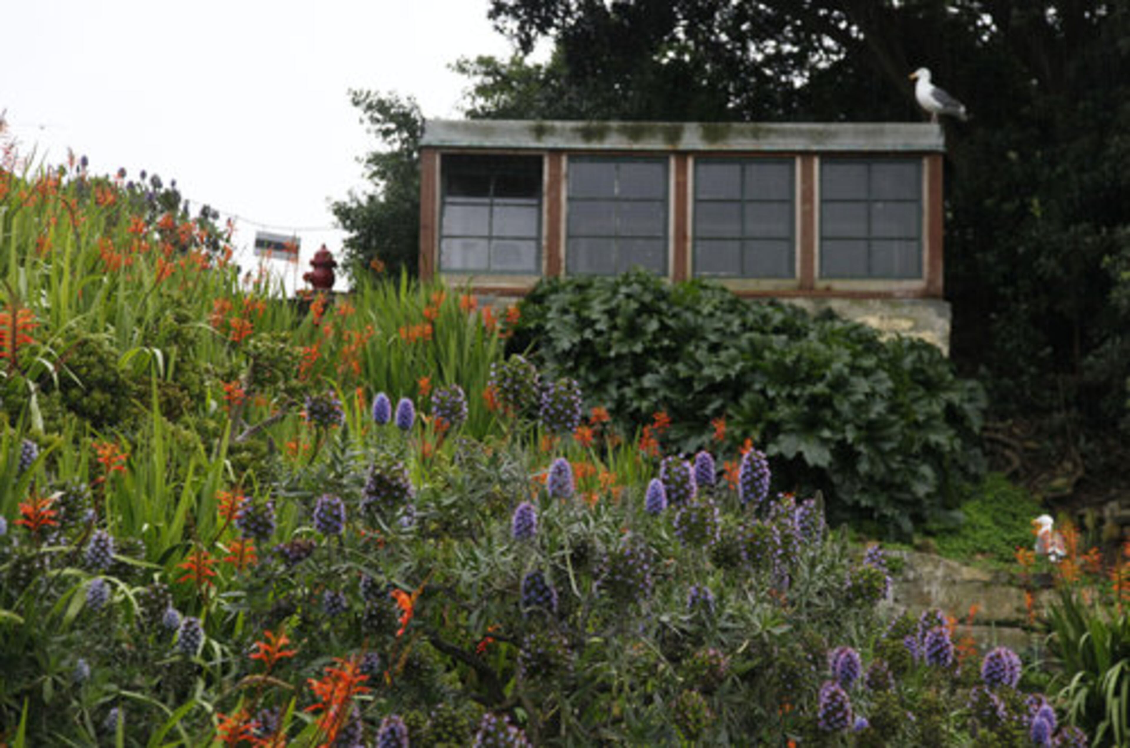 A tool shed originally built by prisoners and recently restored sits above one of the many gardens on Alcatraz Island in San Francisco.