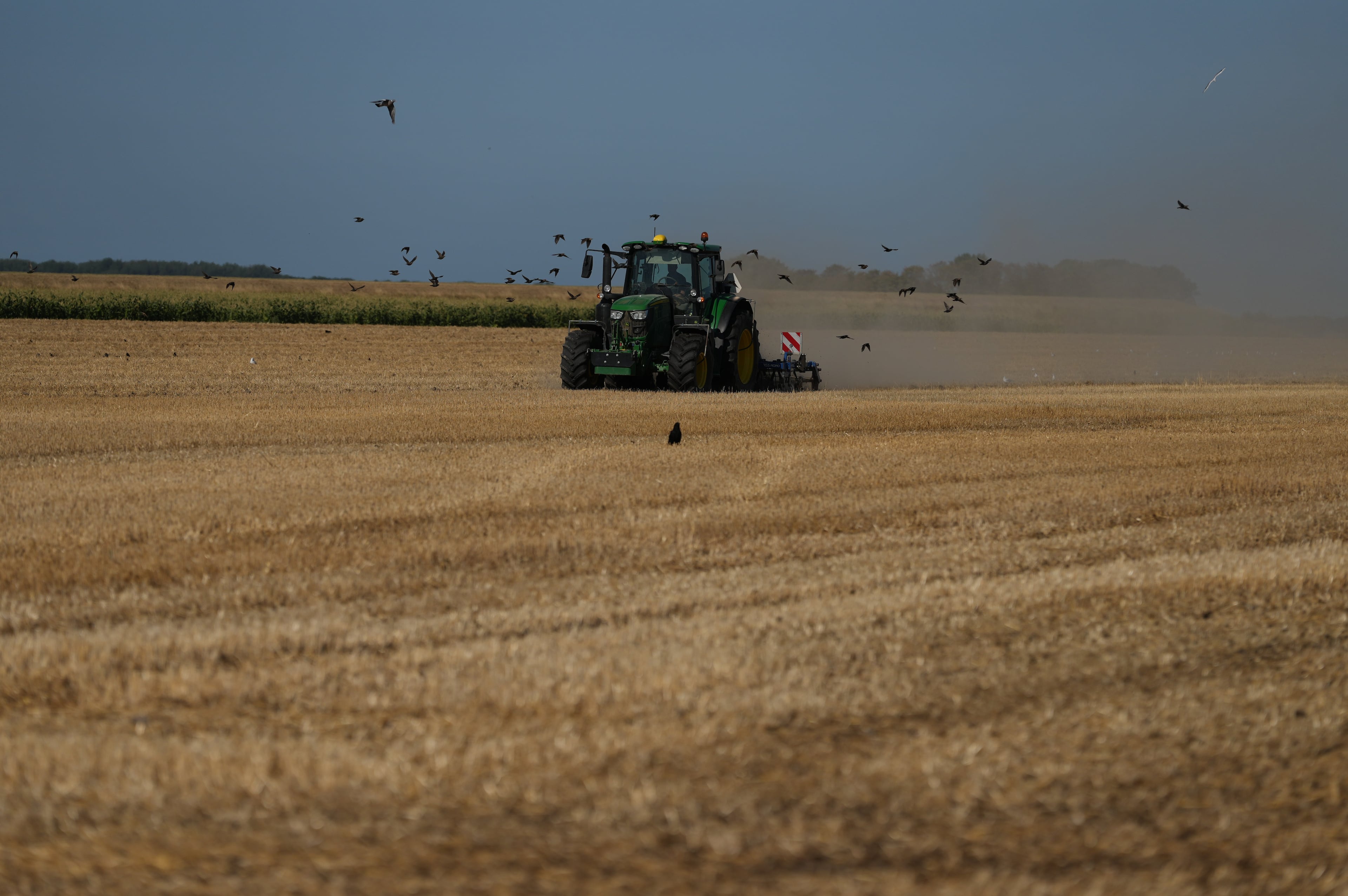 Netherlands Extreme Weather Drought