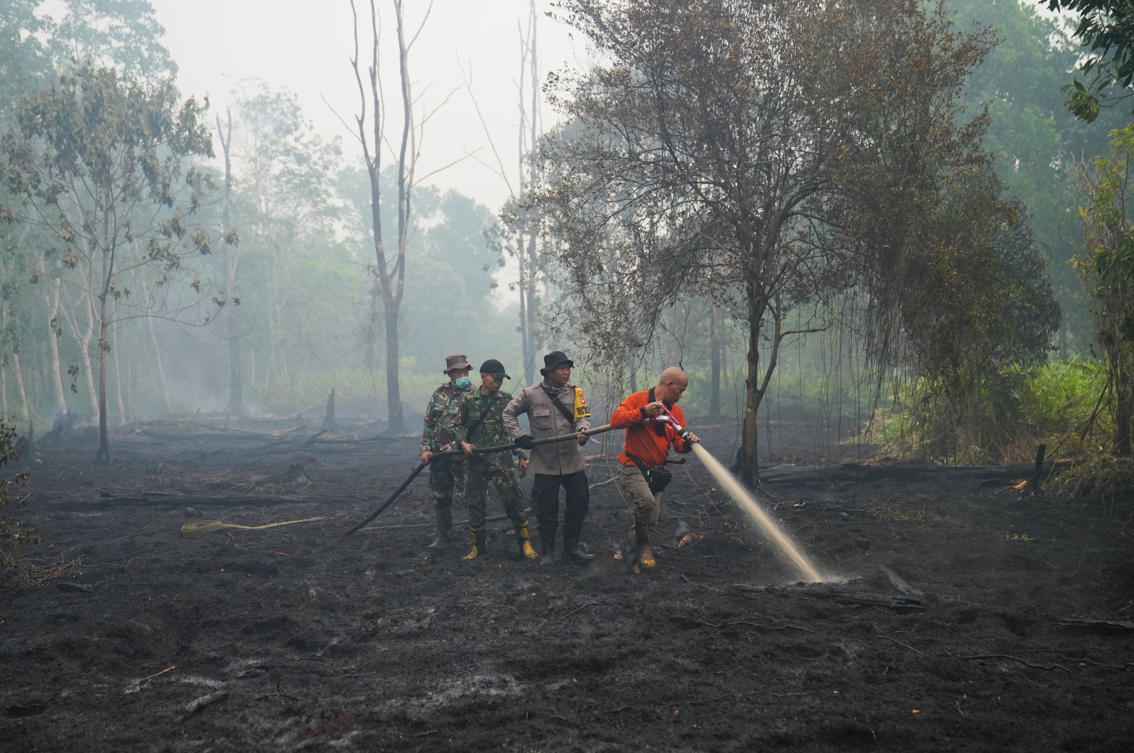 Climate Heat Deaths El Nino