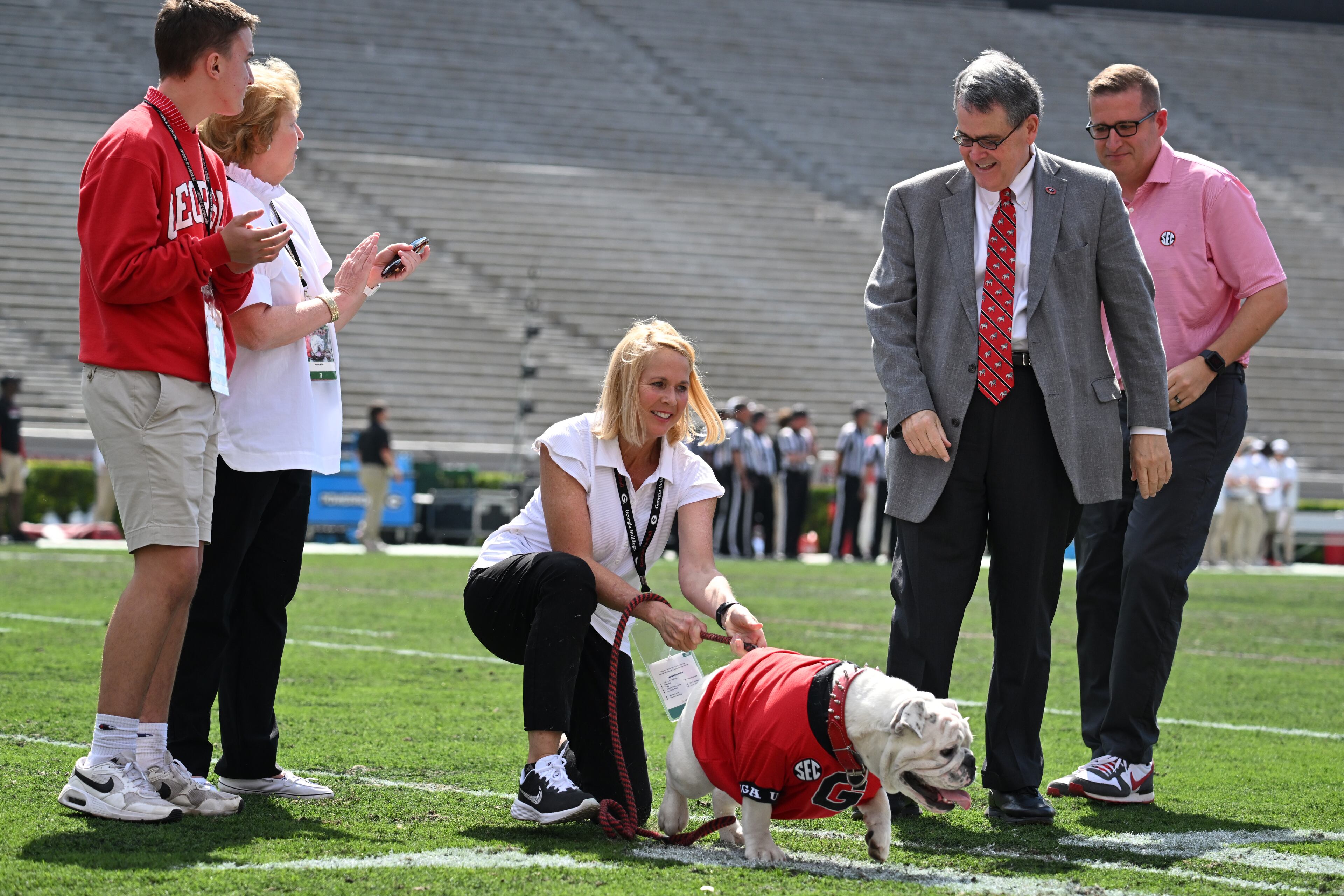Boom, a 10-month-old English Bulldog, is introduced as Uga XI during pregame ceremonies at the G-Day game at Sanford Stadium, Saturday, April 15, 2023, in Athens. (Hyosub Shin / Hyosub.Shin@ajc.com)