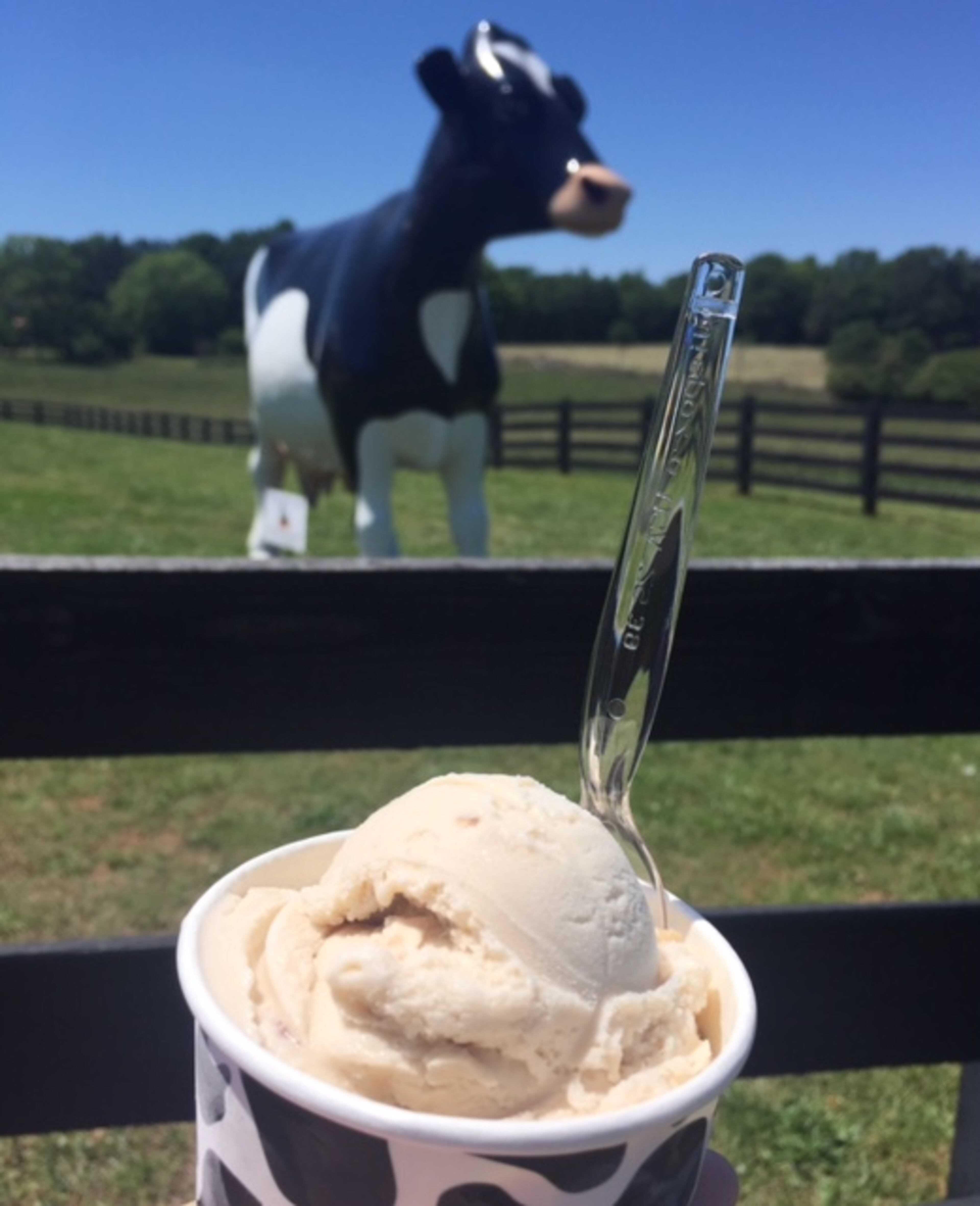 Mountain Fresh Creamery in Clermont, Ga., serves up super-creamy, house-made ice cream from their very own dairy farm. / Photo credit: Mountain Fresh Creamery