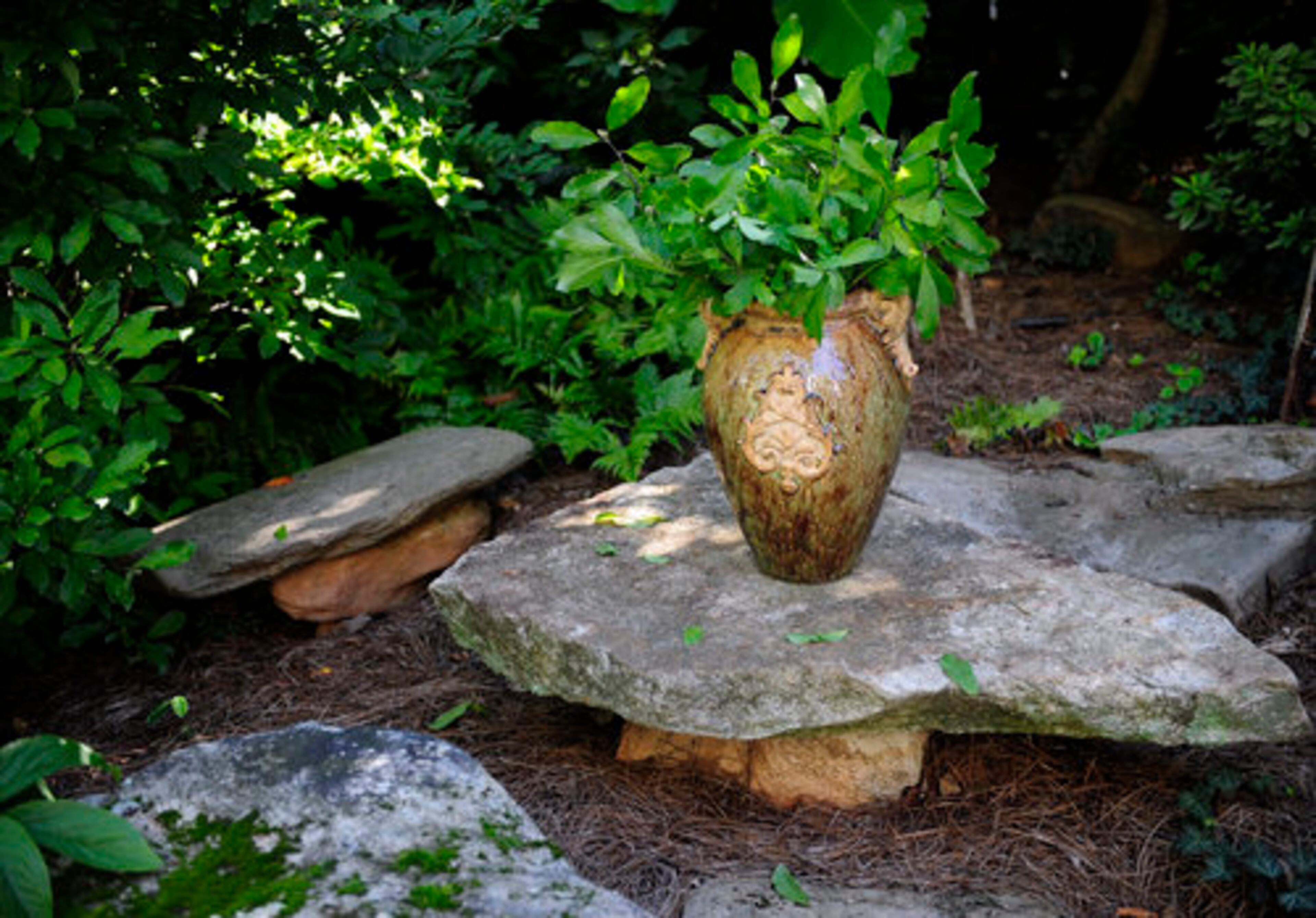 The backyard has a number of seating vignettes, including this funky stone picnic area by the pond. This pint-size area may be best for future grandchildren. "When I have a grandbaby, I plan to get him or her out in the soil as soon as possible," Dana said. Tom quickly adds, "I'm ready for that. Then I can go inside."