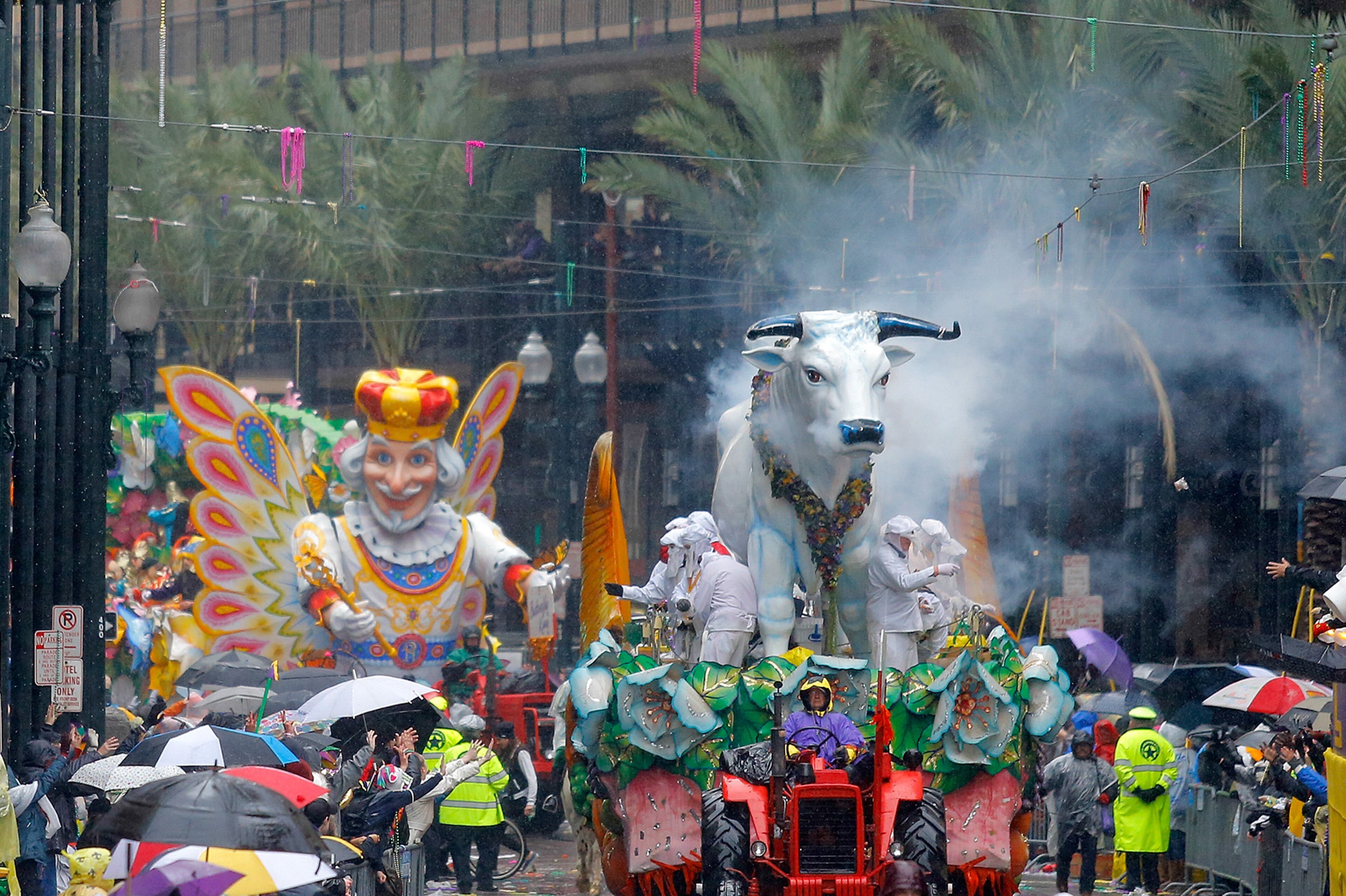 Boeuf Gras, foreground, and the Butterfly King, make their way toward the turn onto Canal Street during the Rex parade at Mardi Gras, Tuesday, March 4, 2014, in New Orleans. (AP Photo/NOLA.com The Times-Picayune, David Grunfeld) MAGS OUT; NO SALES; USA TODAY OUT; THE BATON ROUGE ADVOCATE OUT