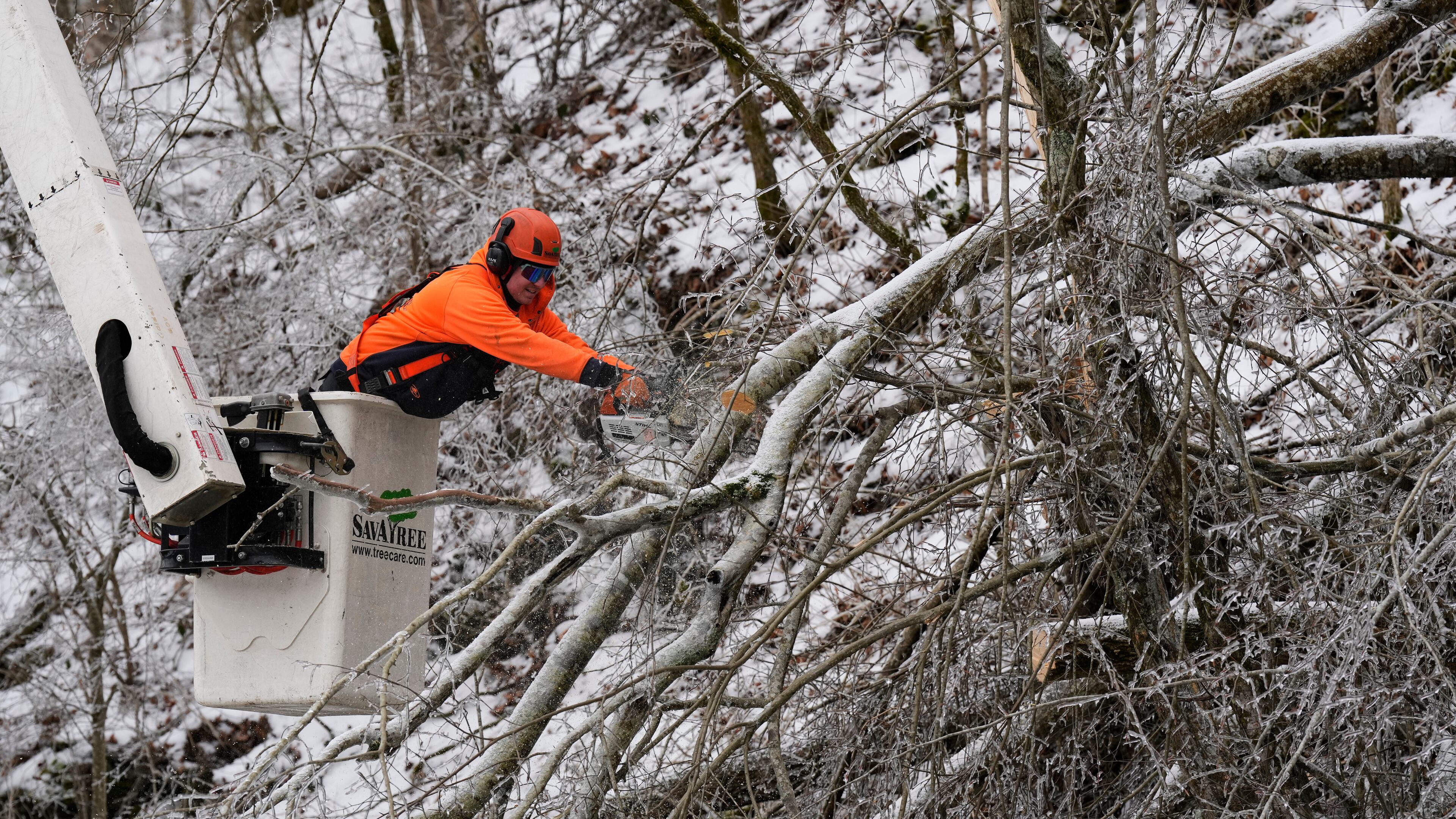Austin Bradbury uses a chainsaw to remove a tree above a road Friday, Jan. 30, 2026, in Nashville, Tenn. (AP Photo/George Walker IV)