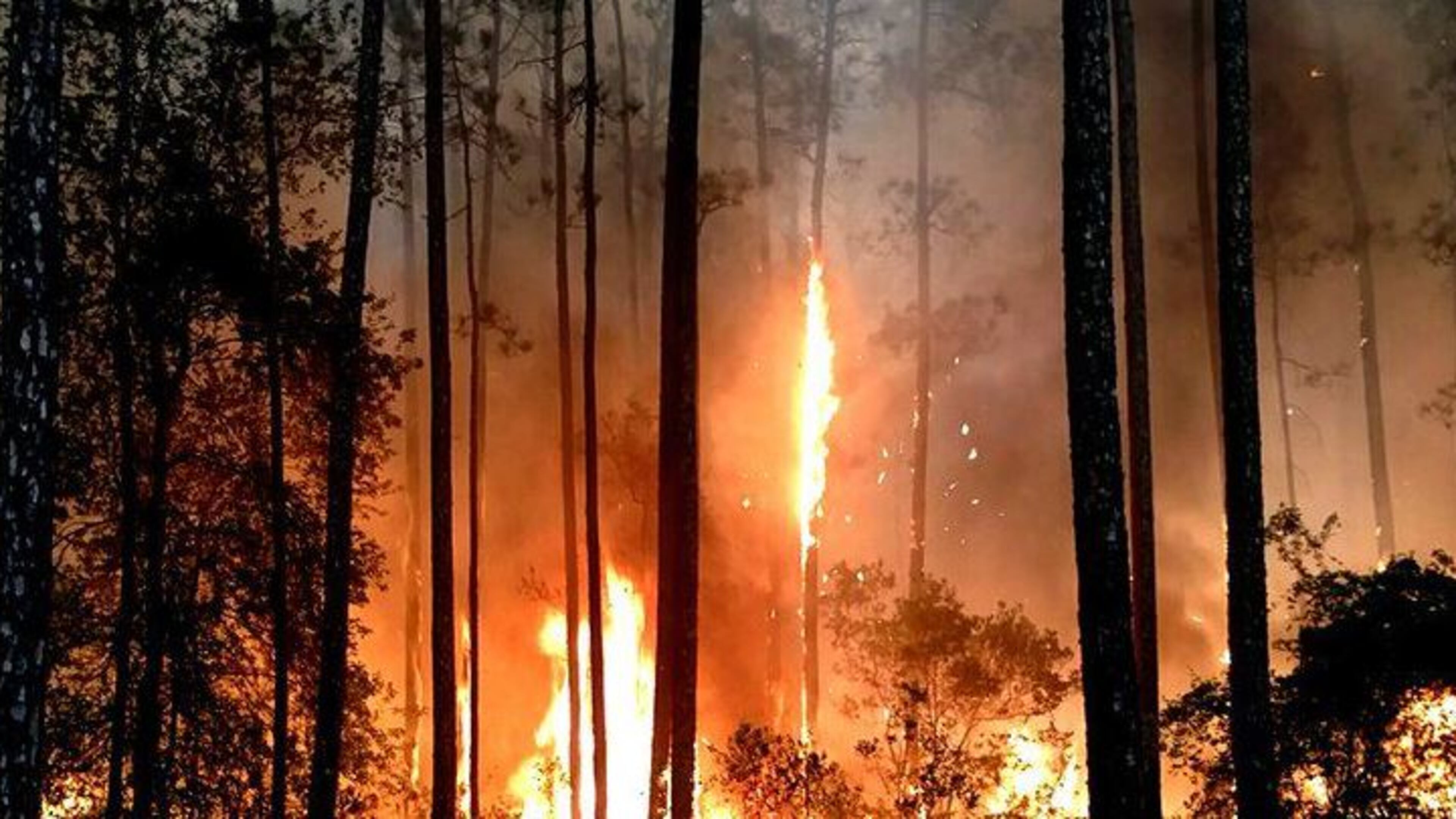 Residents of Clinch County, Ga., have been advised about a wildfire burning in the Okefenokee National Wildlife Refuge. (Credit: Valdosta Daily Times)