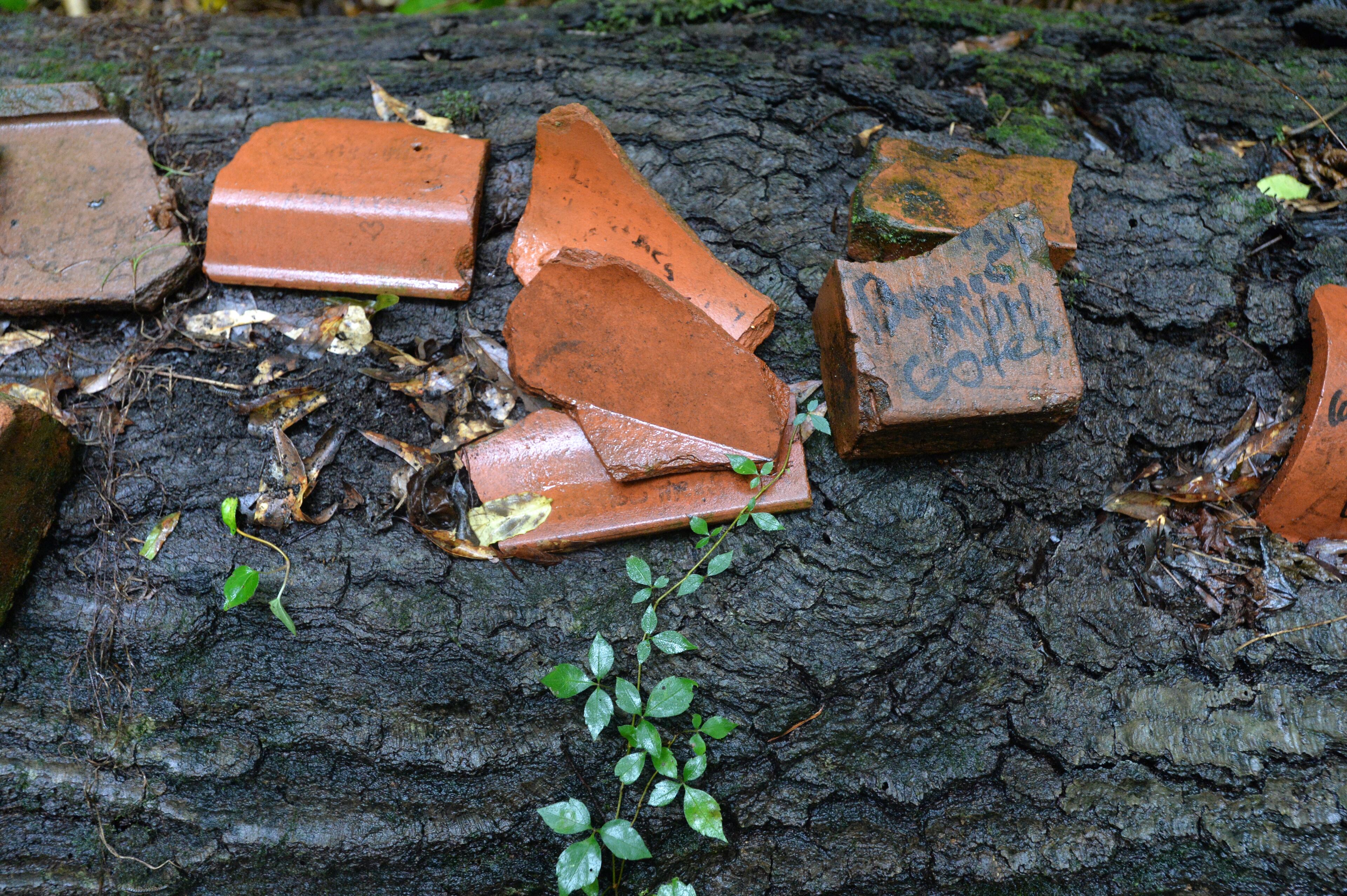 July 19, 2014 Atlanta - Picture shows one of "found art" pieces at Dolls Head Trail on Saturday, July 19, 2014. Personal Journey on Joel Slaton, a carpenter who dealt with being underemployed about three years ago by wandering through on Constitution Lakes Park in Southwest DeKalb. He started picking up garbage that had been dumped off there for years and created a series of whimsical and creepy "found art" pieces, along a literally off-the-beaten path area he dubbed "Dolls Head Trail." The park itself has only existed for about five years -- it's in an industrial area, on the site of what was once an old brickworks plant and near the old prison farm. HYOSUB SHIN / HSHIN@AJC.COM