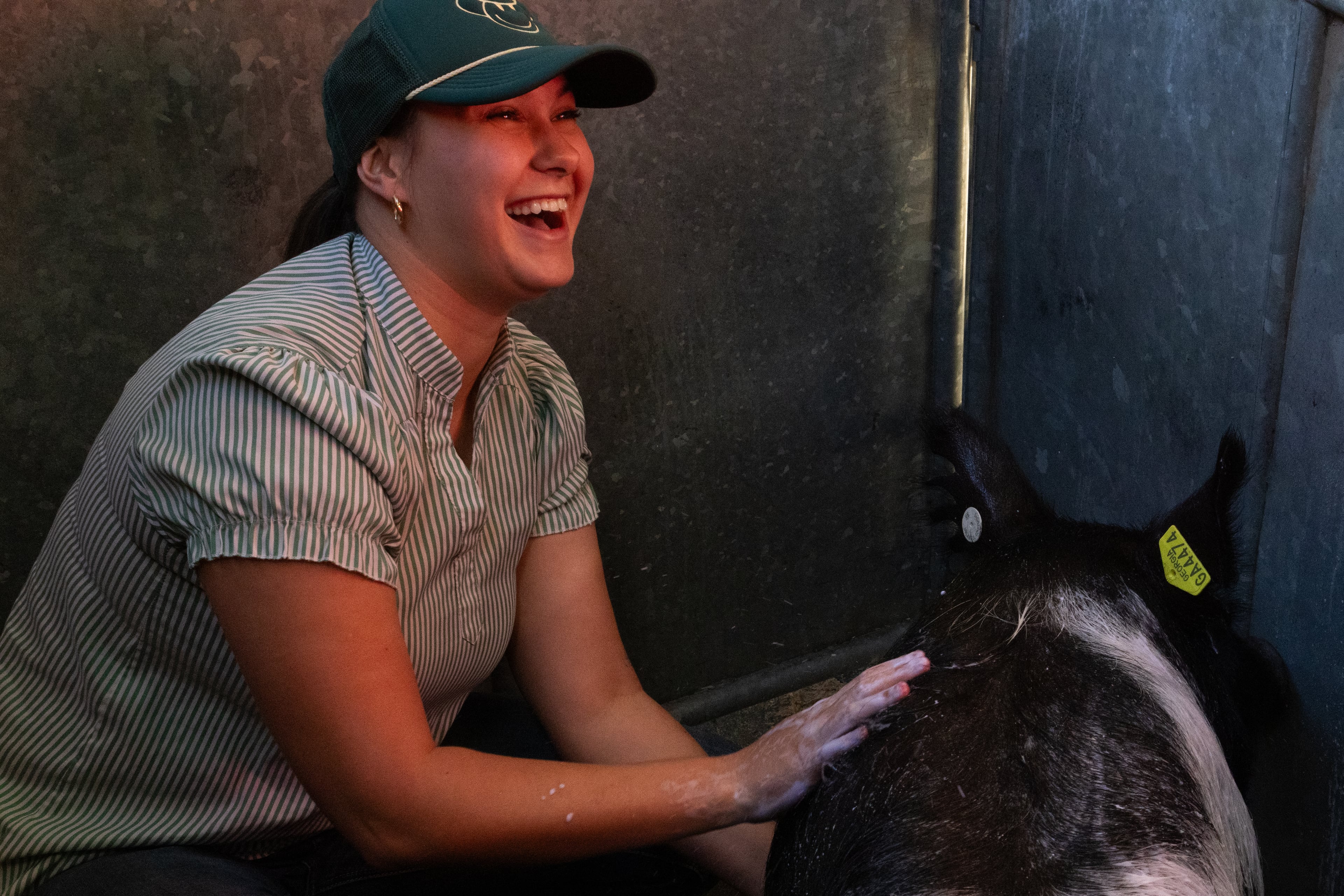 Trinity Brown smiles as she washes Breyden McGowan's pig, Dexter, at the 37th annual Georgia National Fair on Saturday, October 17, 2026. Brown is McGowan's agricultural teacher at Wayne County High School and helps her students show animals frequently. (Wesley Webb/UGA Photojournalism Workshop)