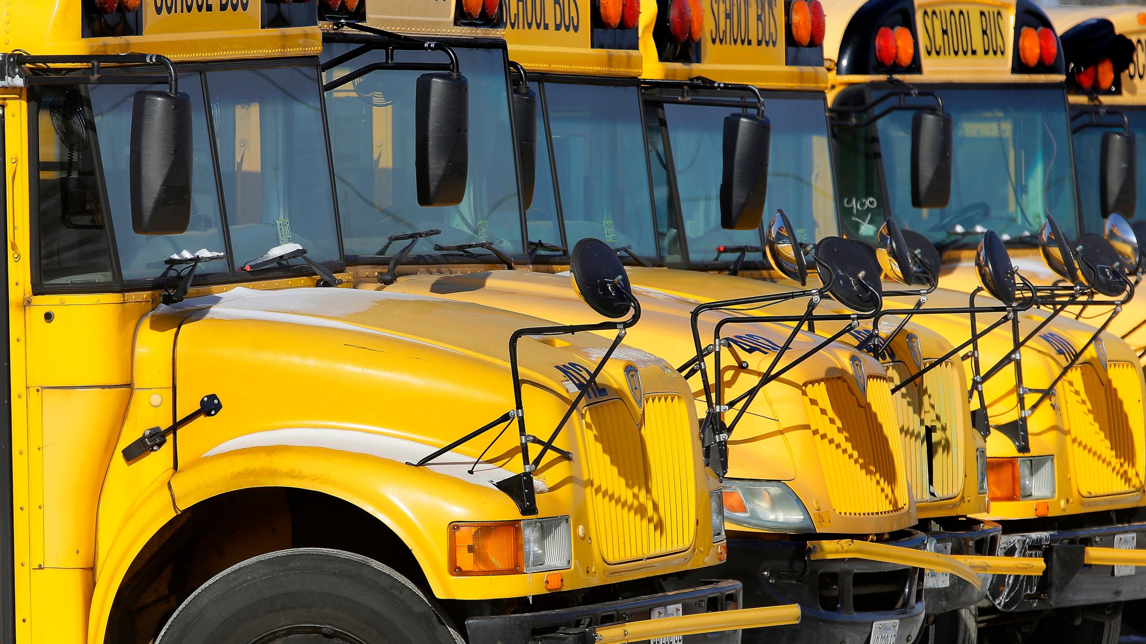 FILE - Public school buses are parked in Springfield, Ill., on Jan. 7, 2015. (AP Photo/Seth Perlman, File)